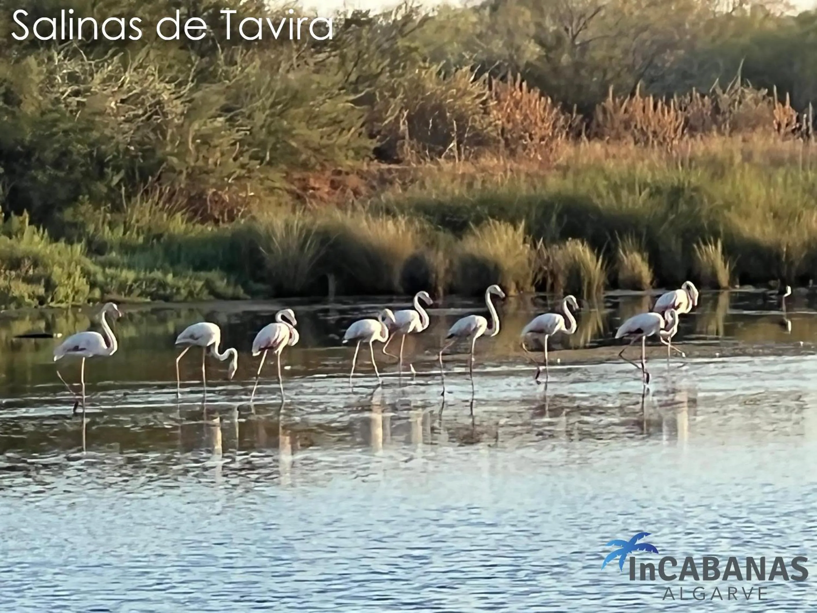 Activities in InCabanas