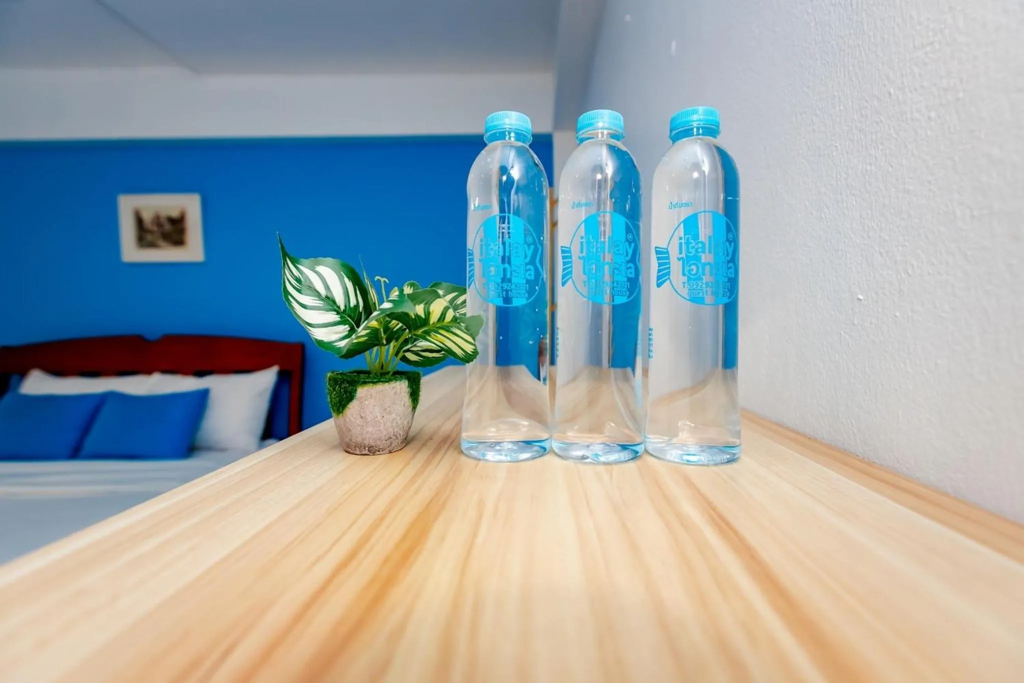 Photo of the whole room in iTalay Krabi