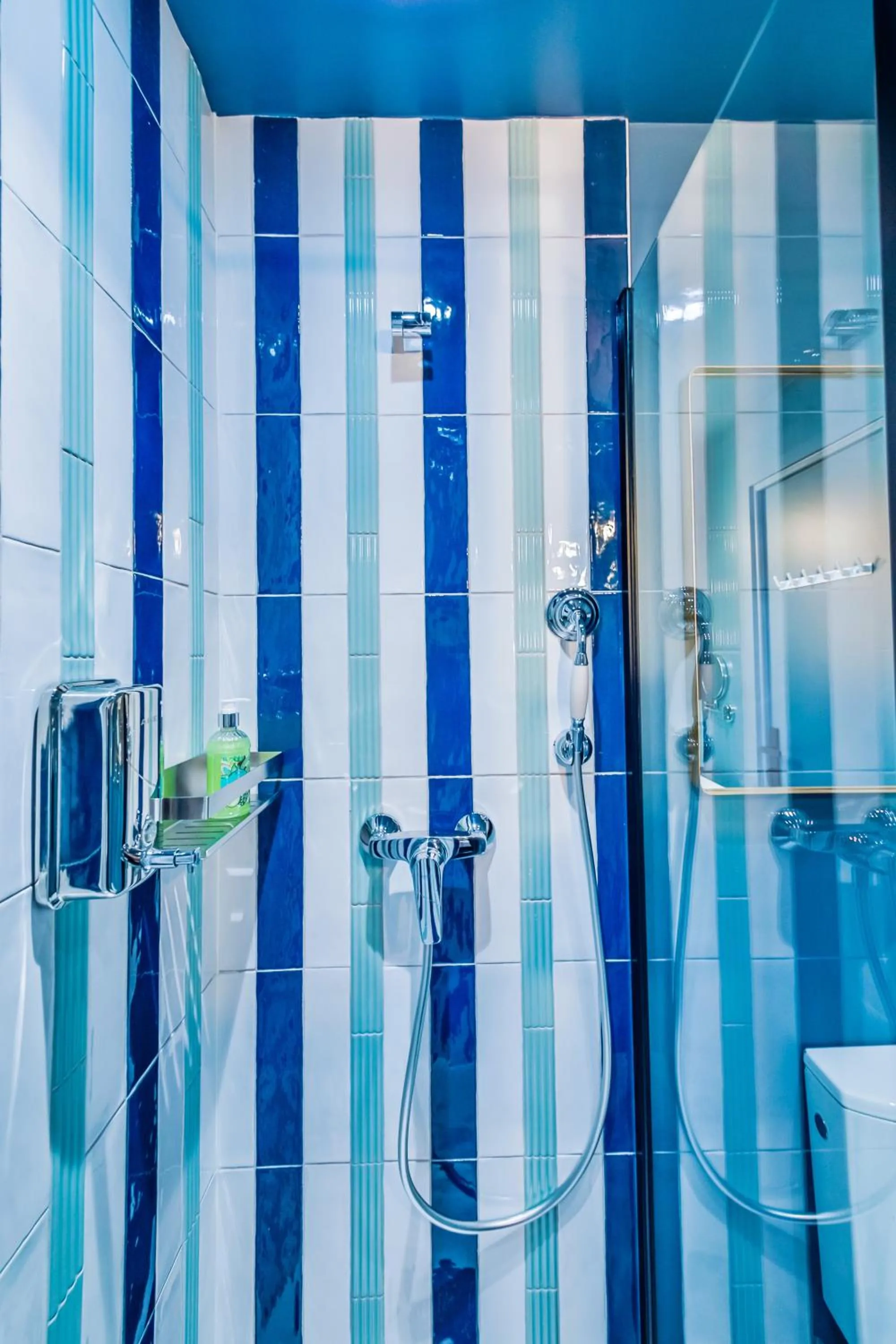 Shower in WS Molitor - Auteuil