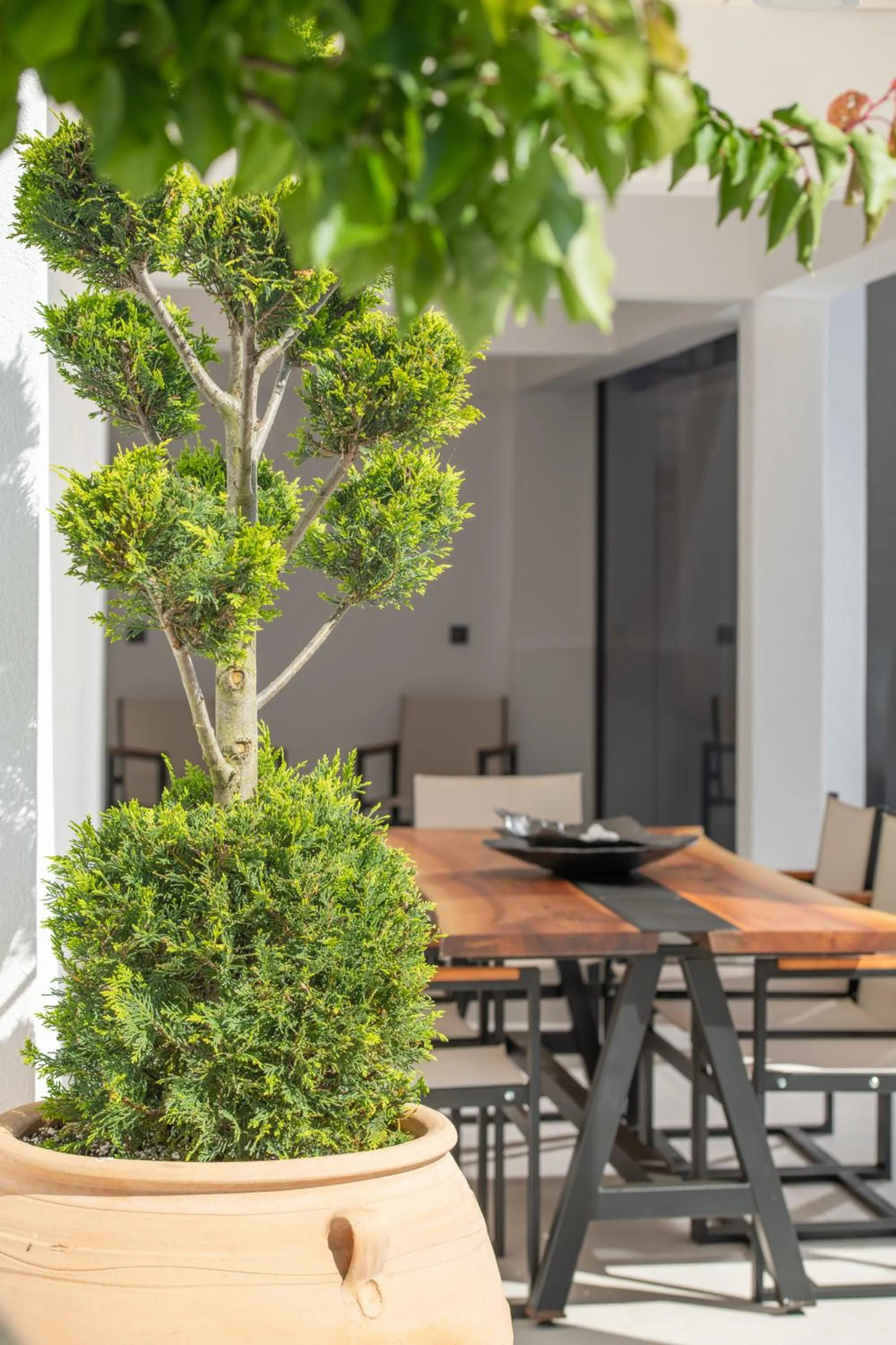 Day in Alexandrion Appartments Down Town Adults Only