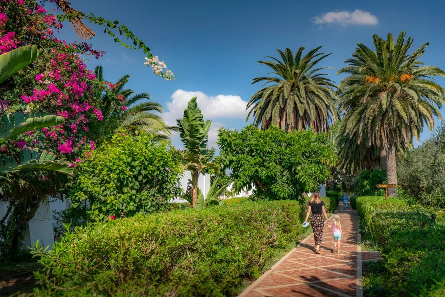Garden in Le Hammamet Hôtel & Spa