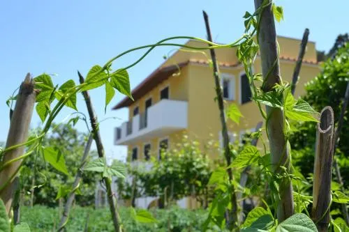 B&B La Vigna - Ischia Ponte