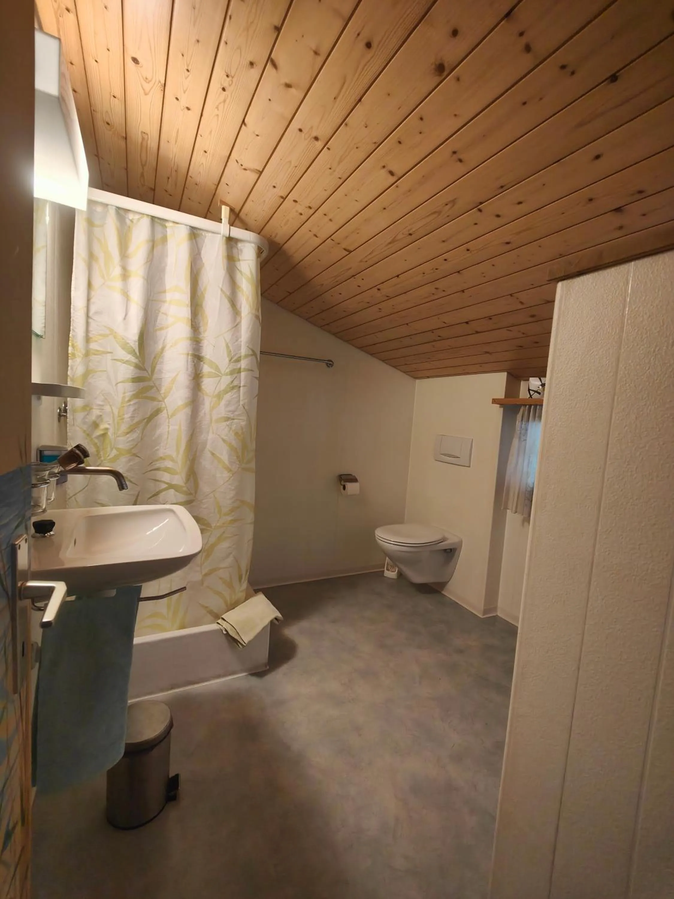 Hotel Wildbach Brienz