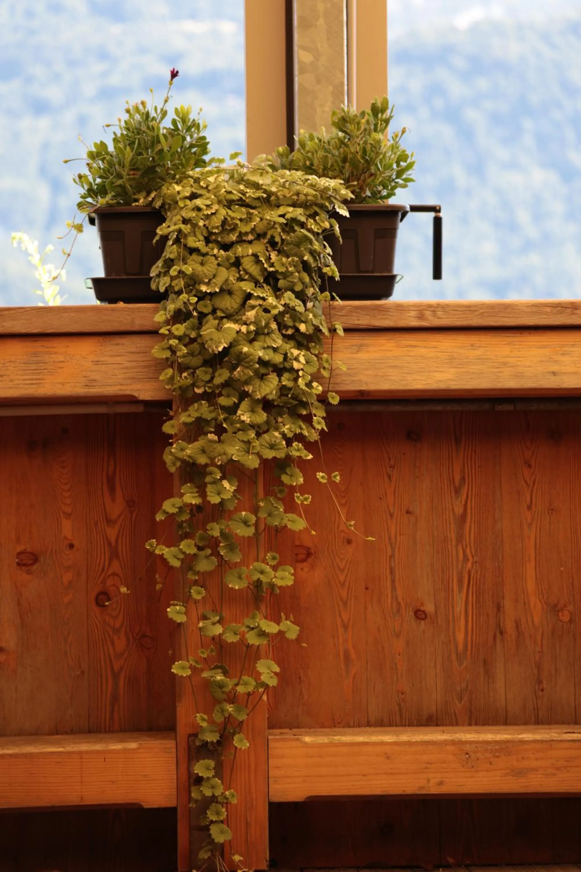 Hotel Wildbach Brienz