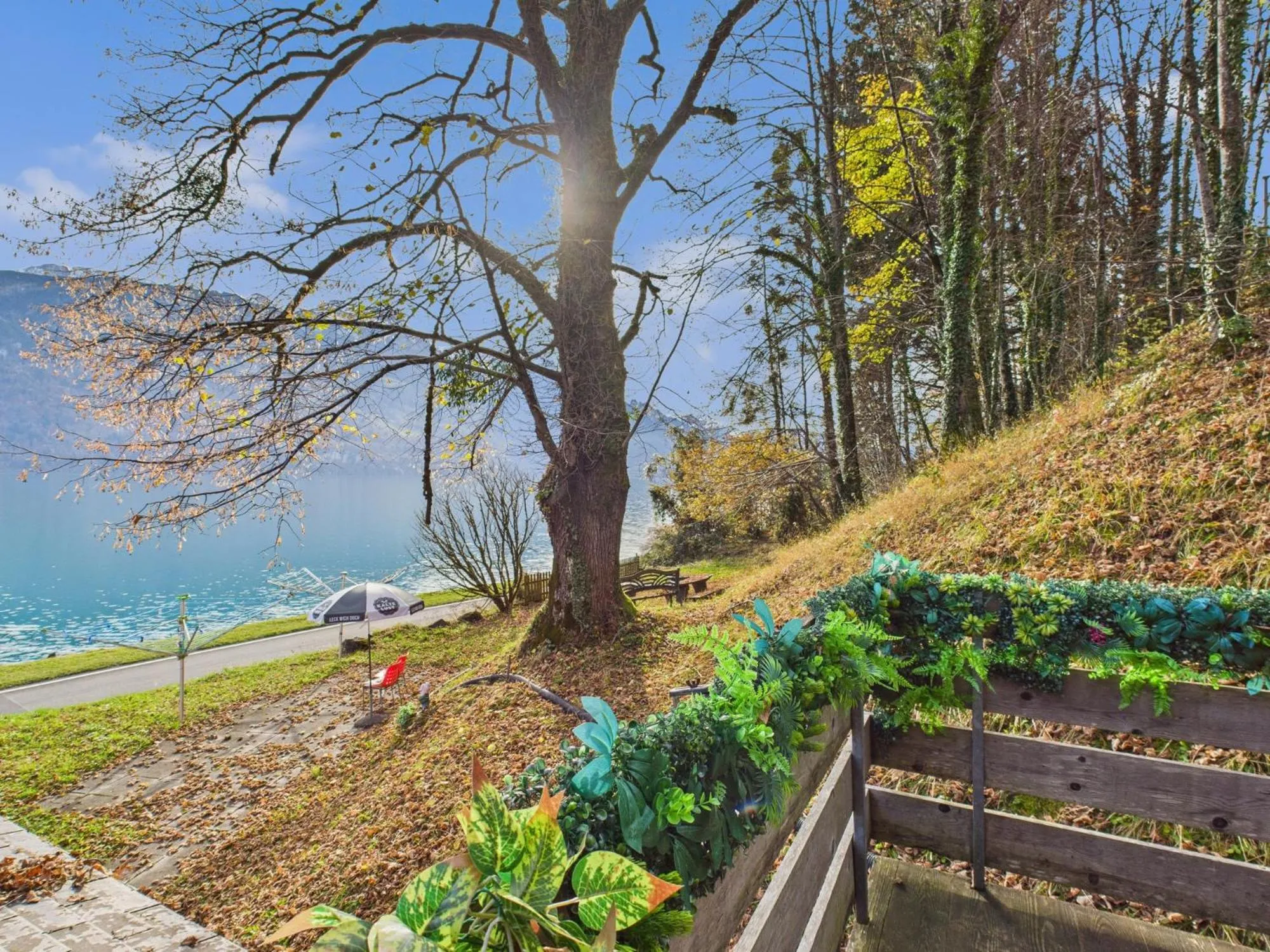 Natural landscape in Hotel Wildbach Brienz