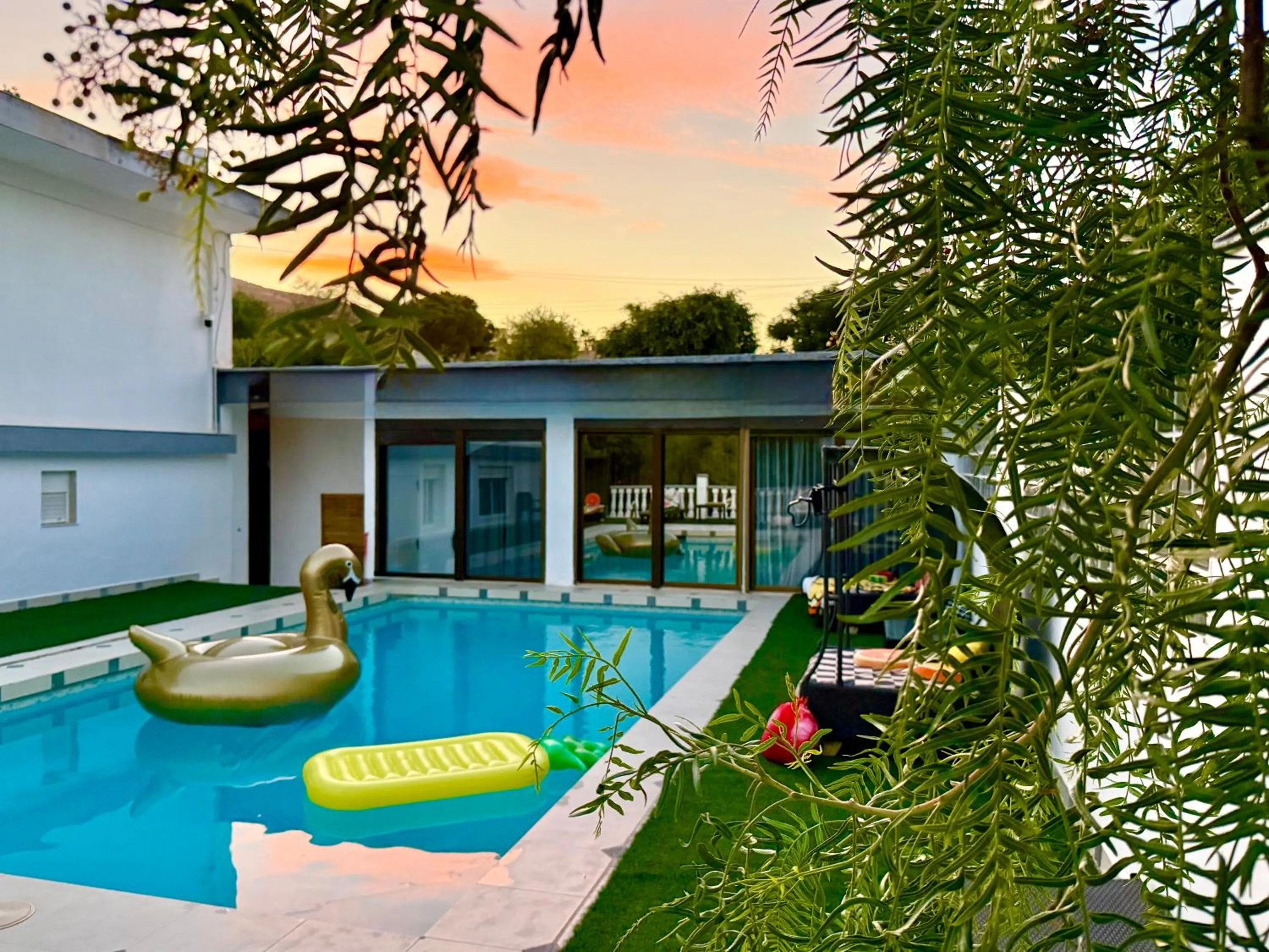 Day in Kiwidestiny Alicante