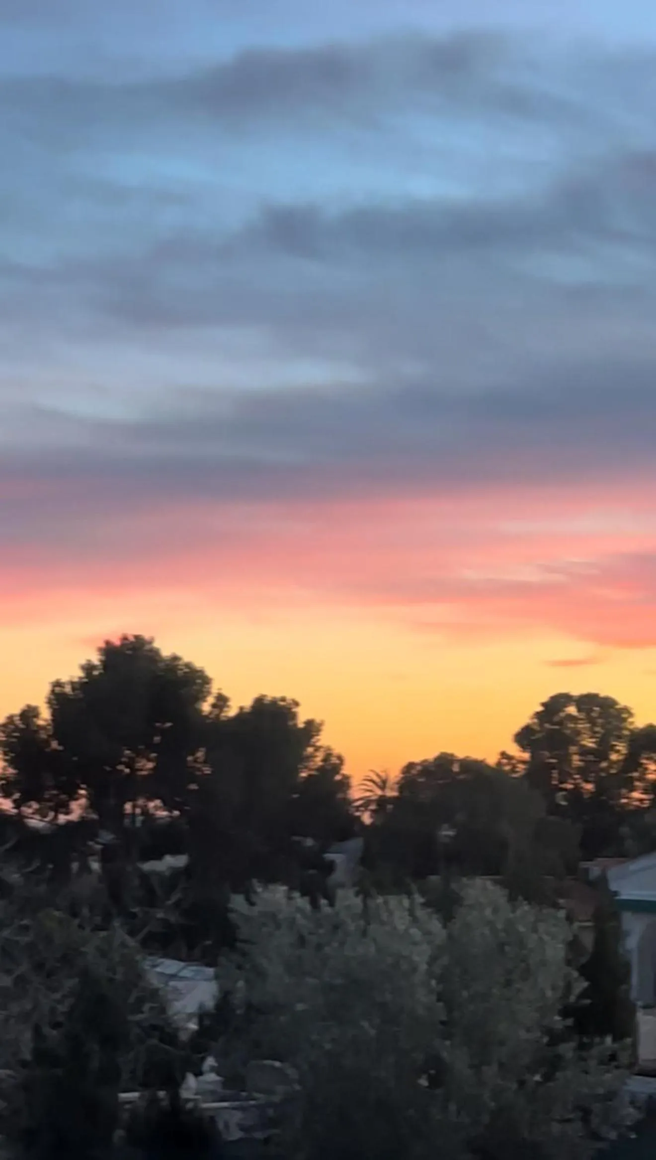 Day in Kiwidestiny Alicante