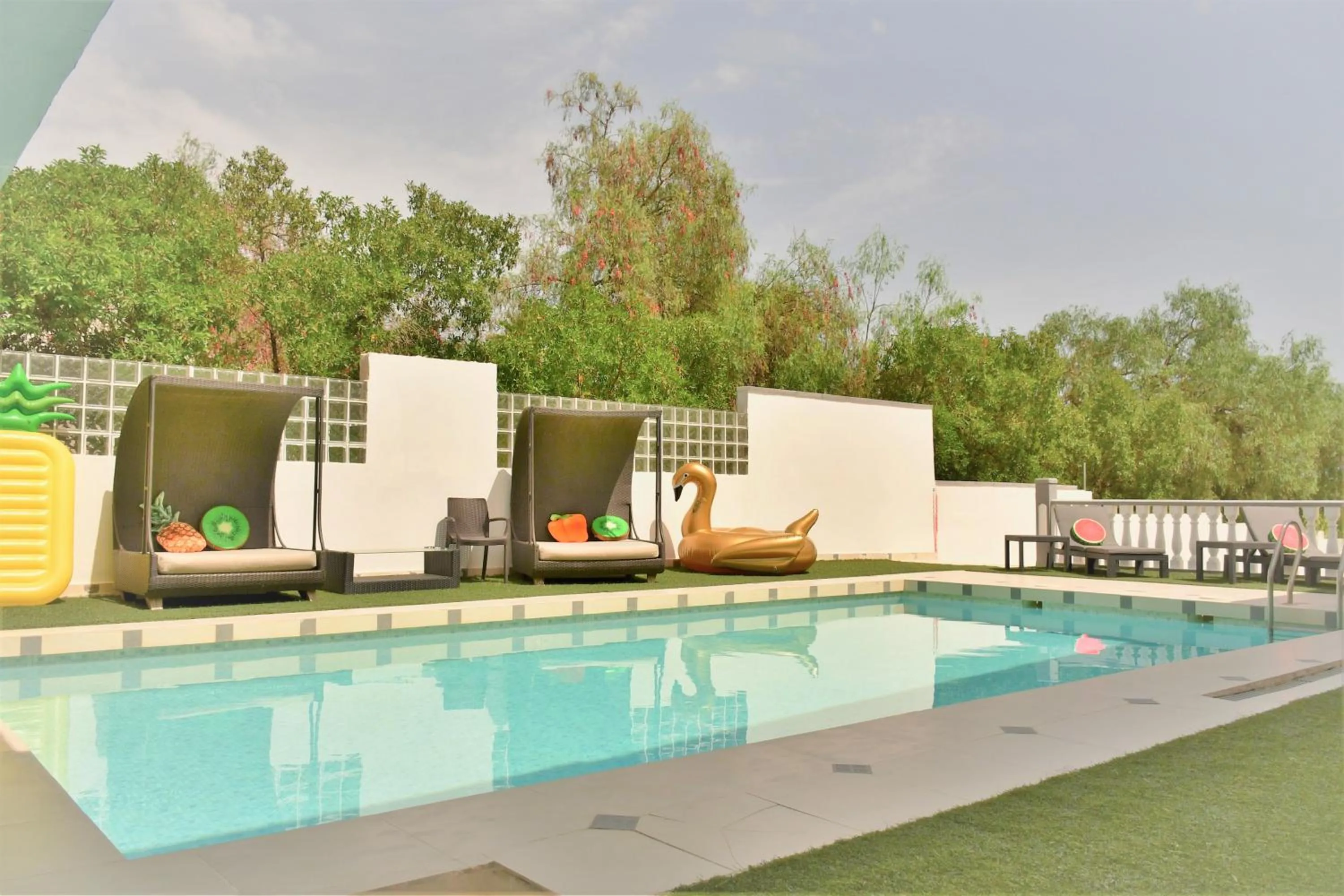 Garden in Kiwidestiny Alicante