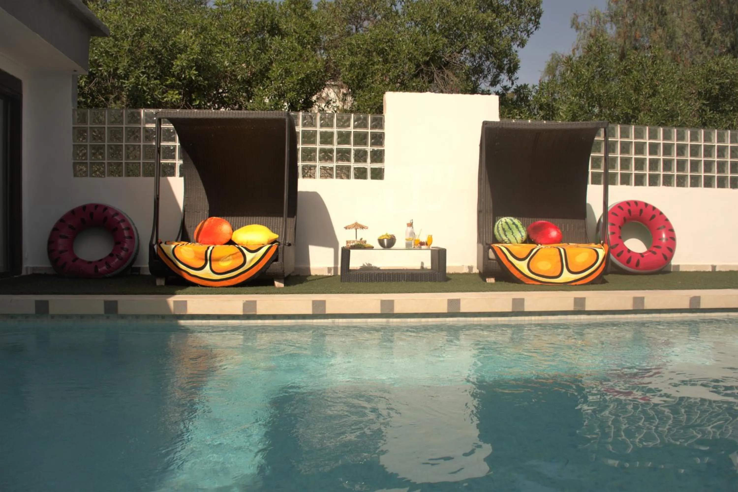 Day in Kiwidestiny Alicante