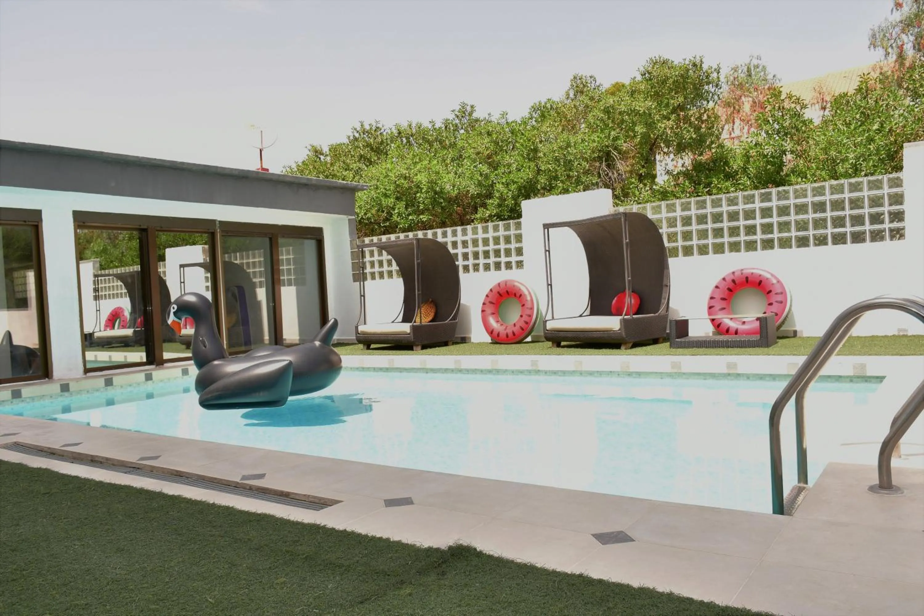 Day in Kiwidestiny Alicante