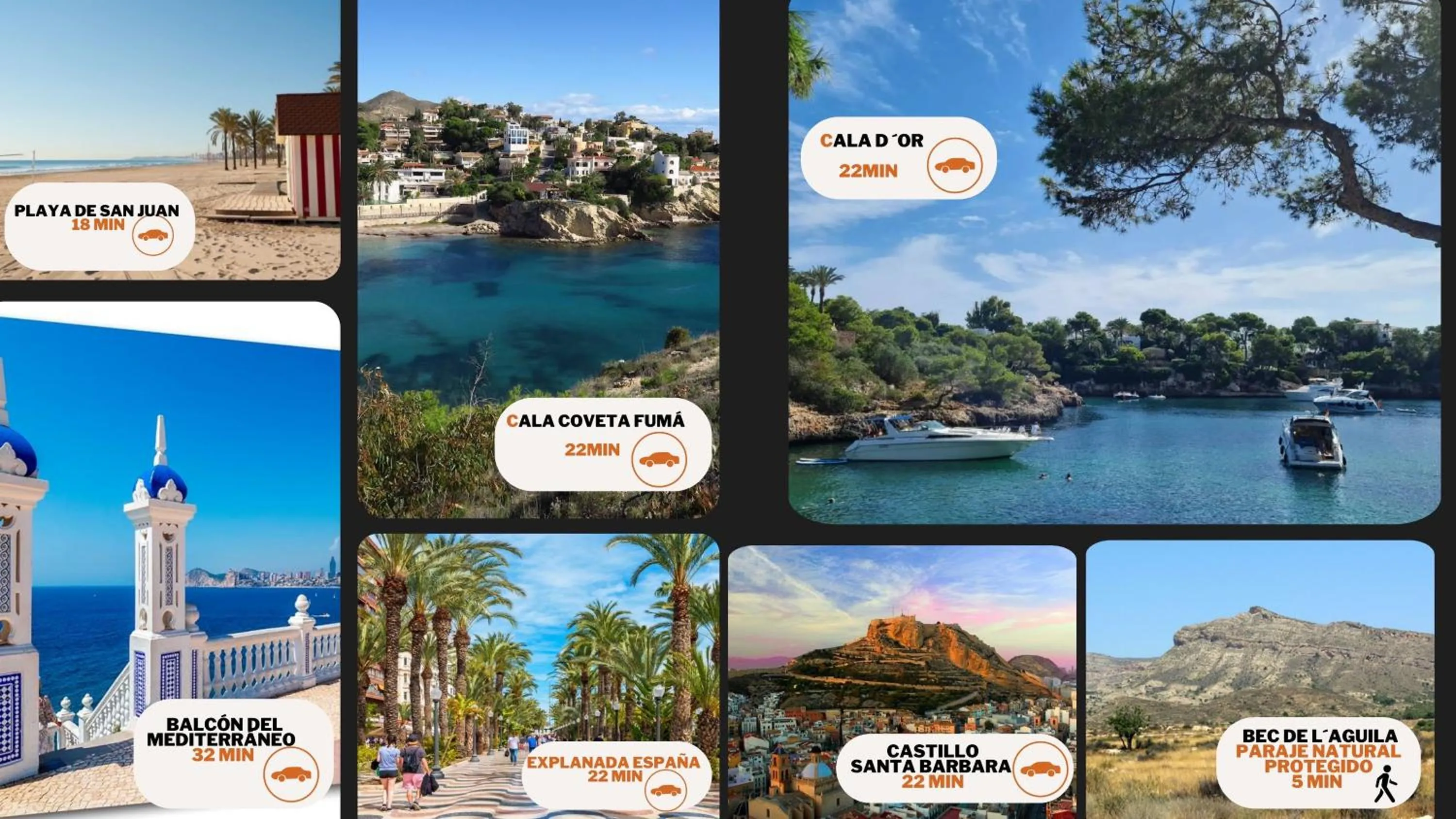 Nearby landmark in Kiwidestiny Alicante