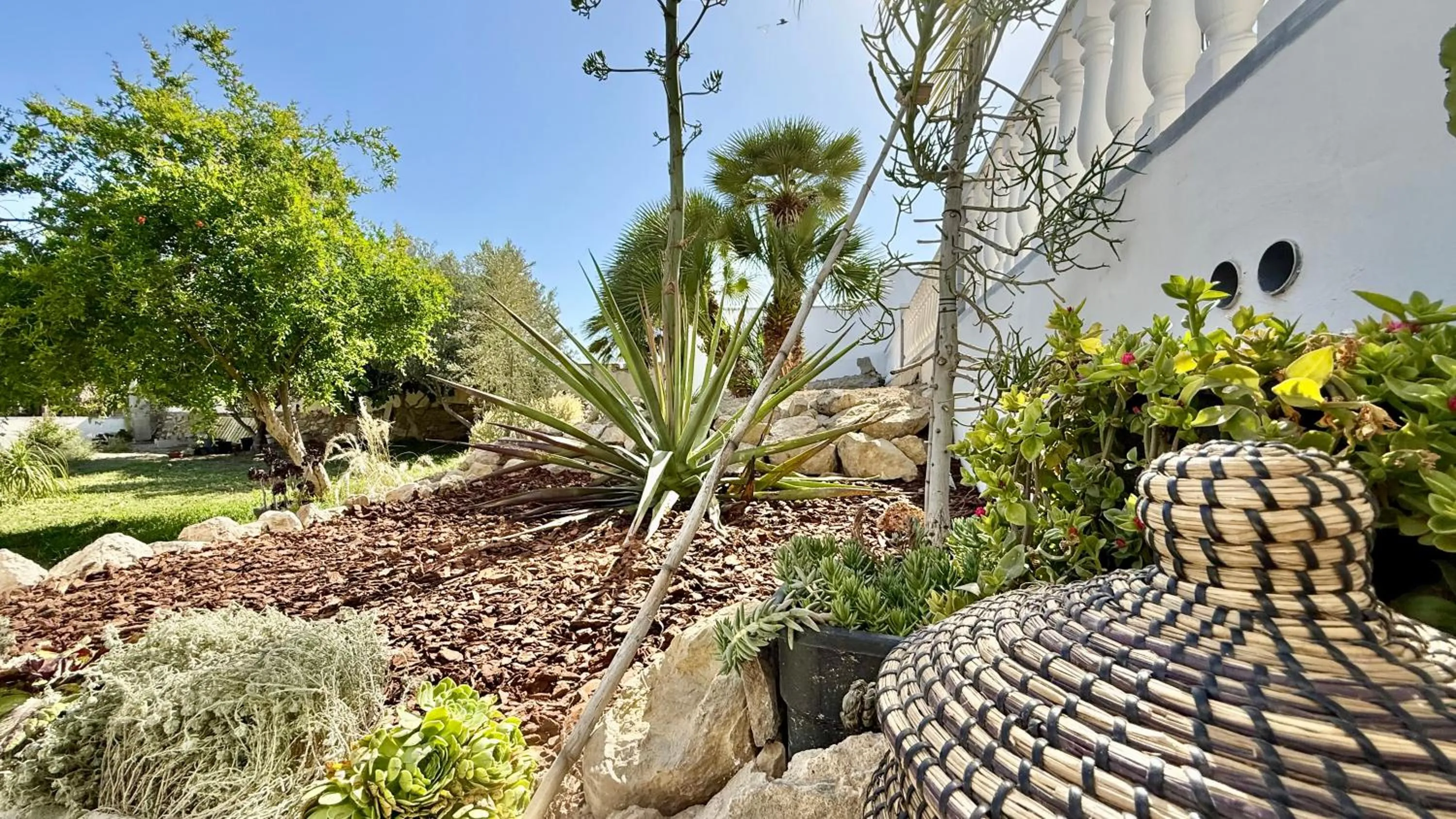 Spring in Kiwidestiny Alicante