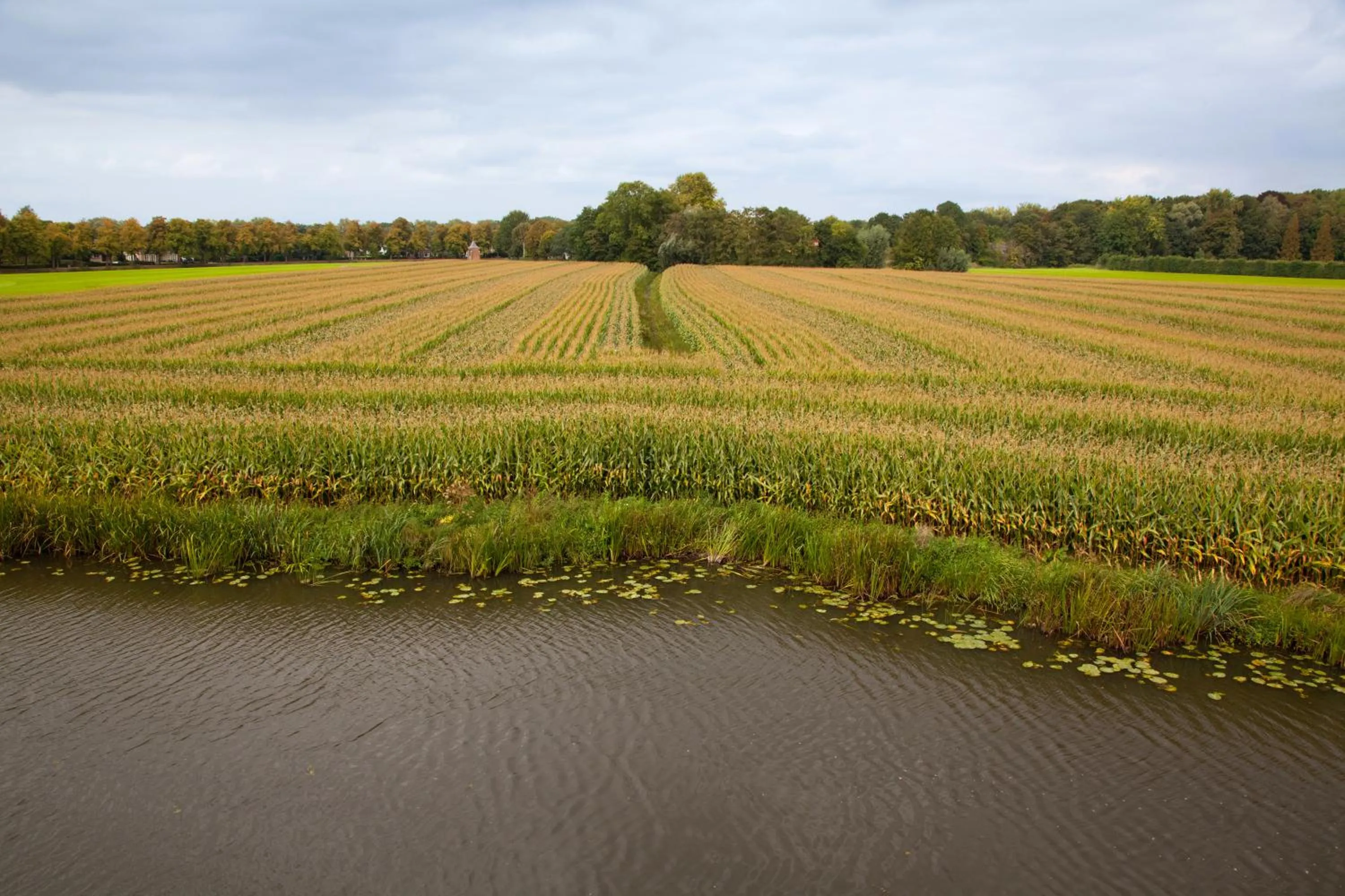 Area and facilities in Het Wapen van Harmelen