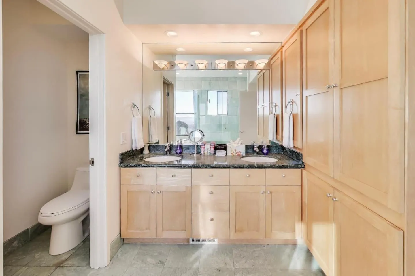 Toilet in Luxurious Hillside Home wAC & Gorgeous SF Views!