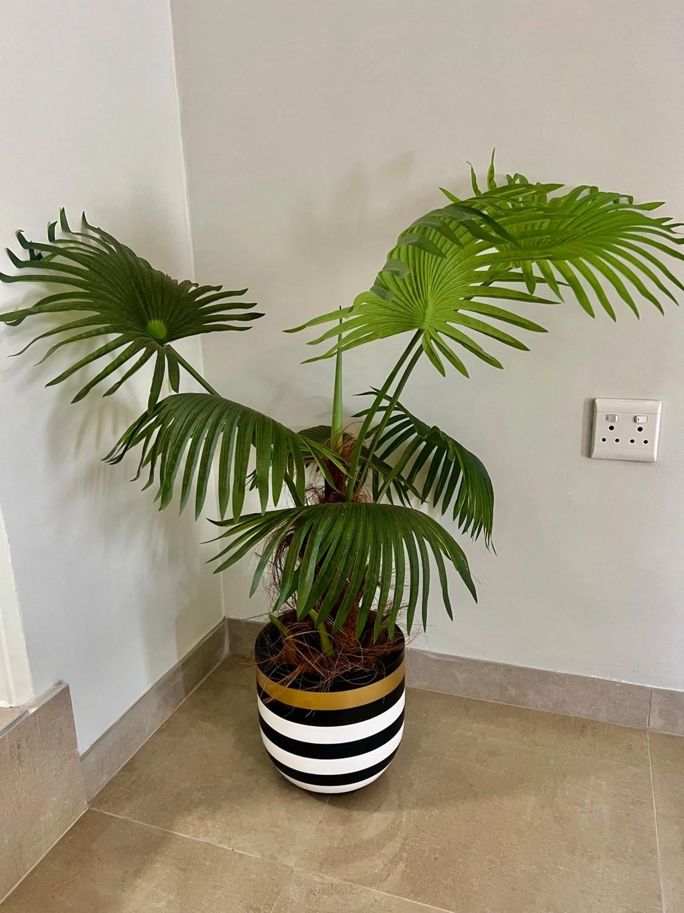 435 on vale boutique Villa