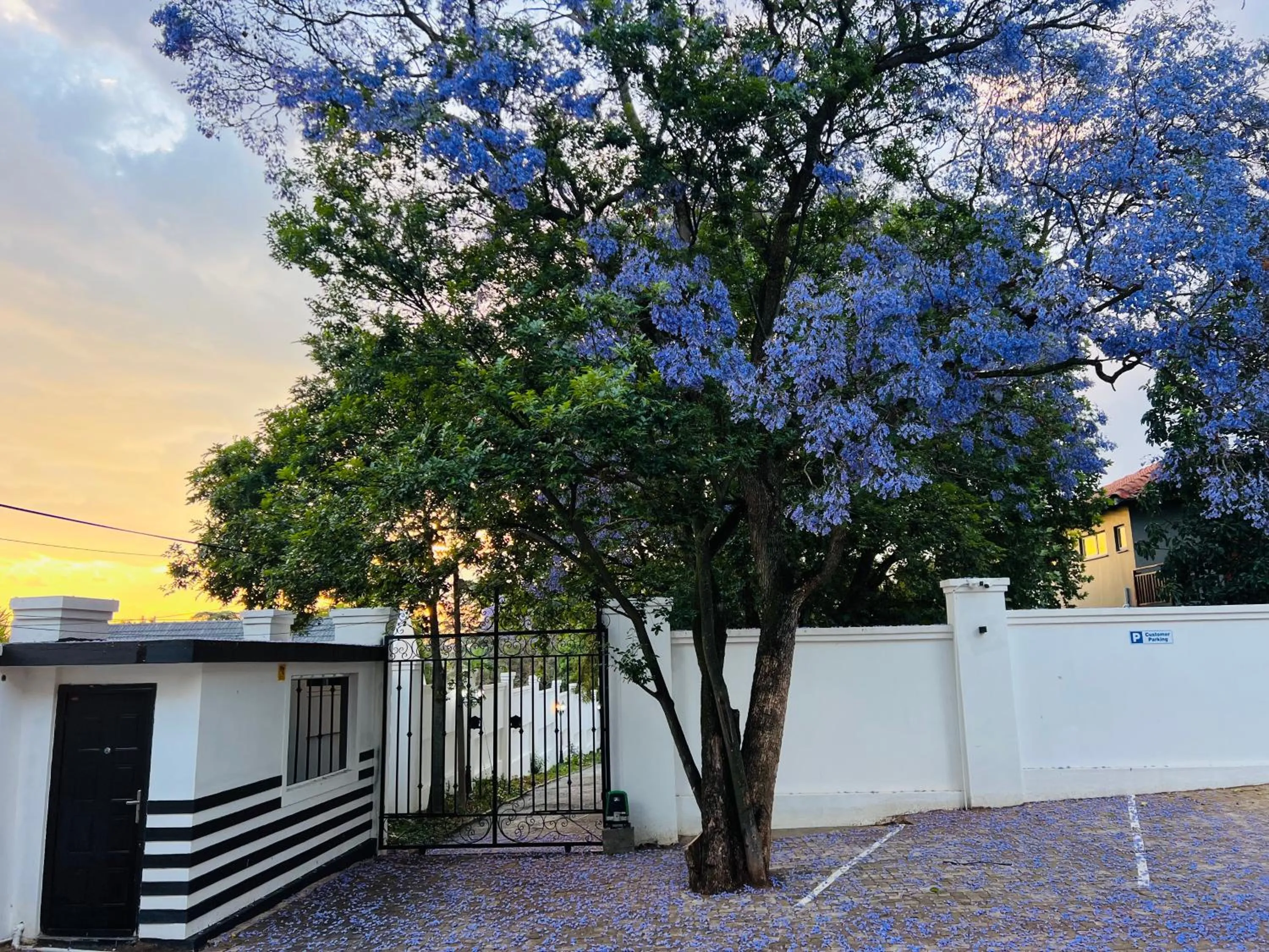 435 on vale boutique Villa