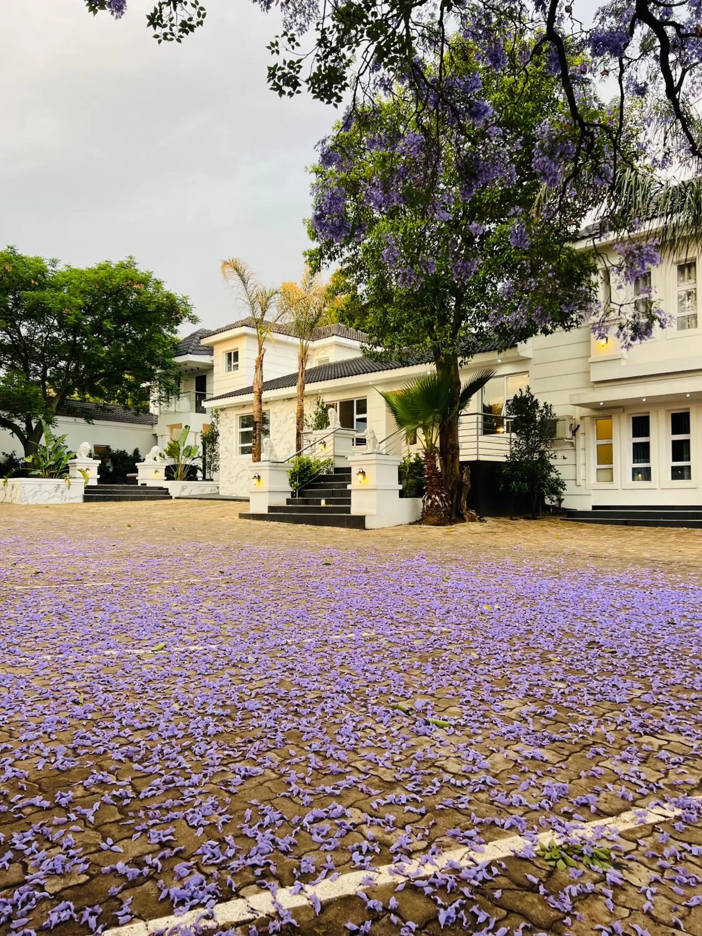 435 on vale boutique Villa