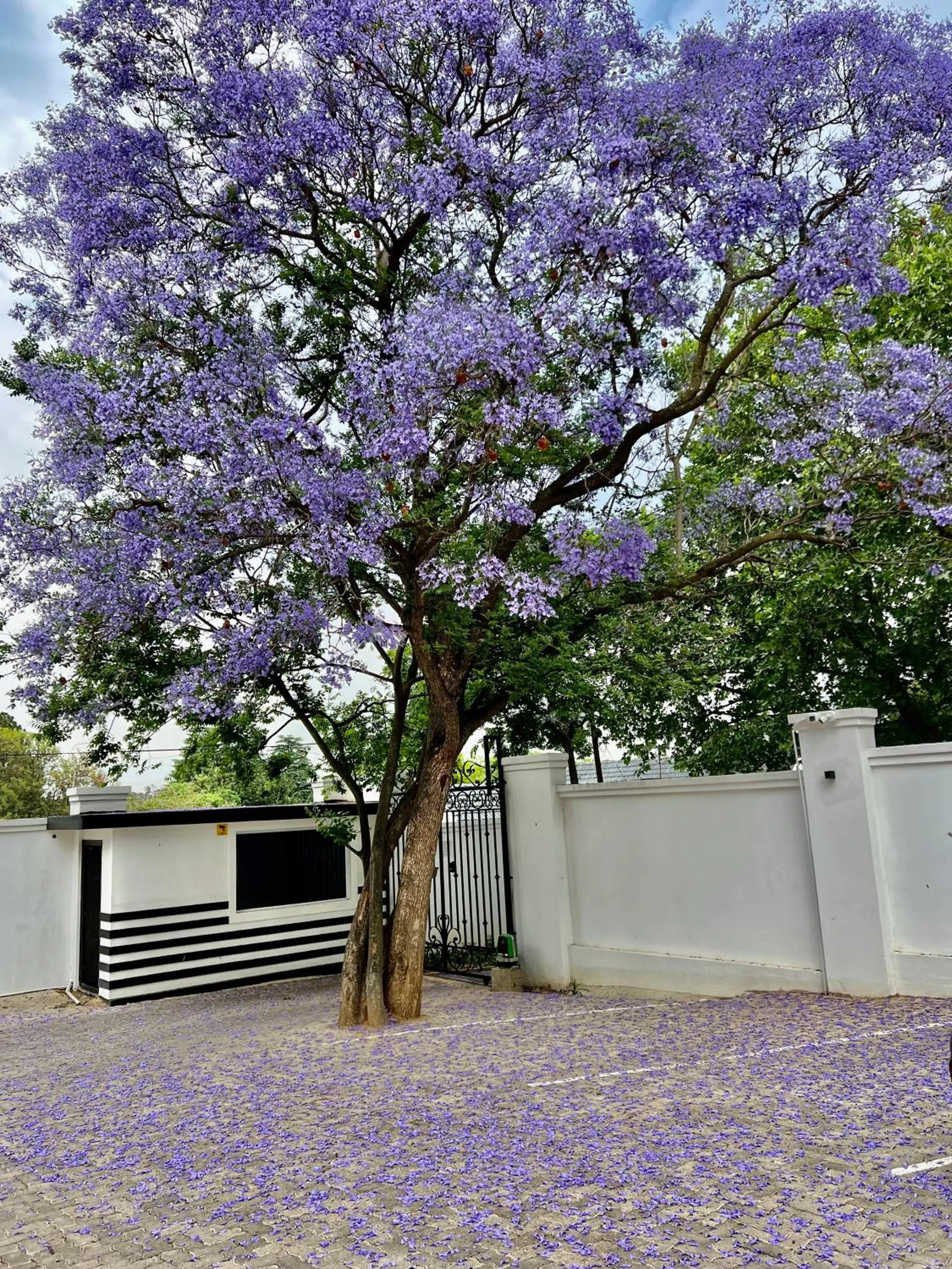 435 on vale boutique Villa