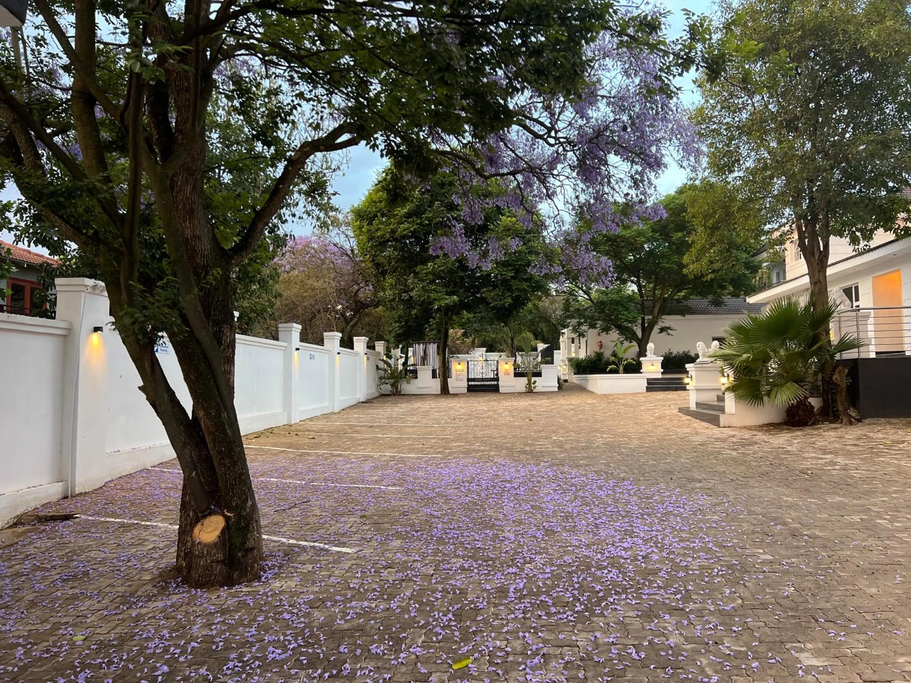 435 on vale boutique Villa