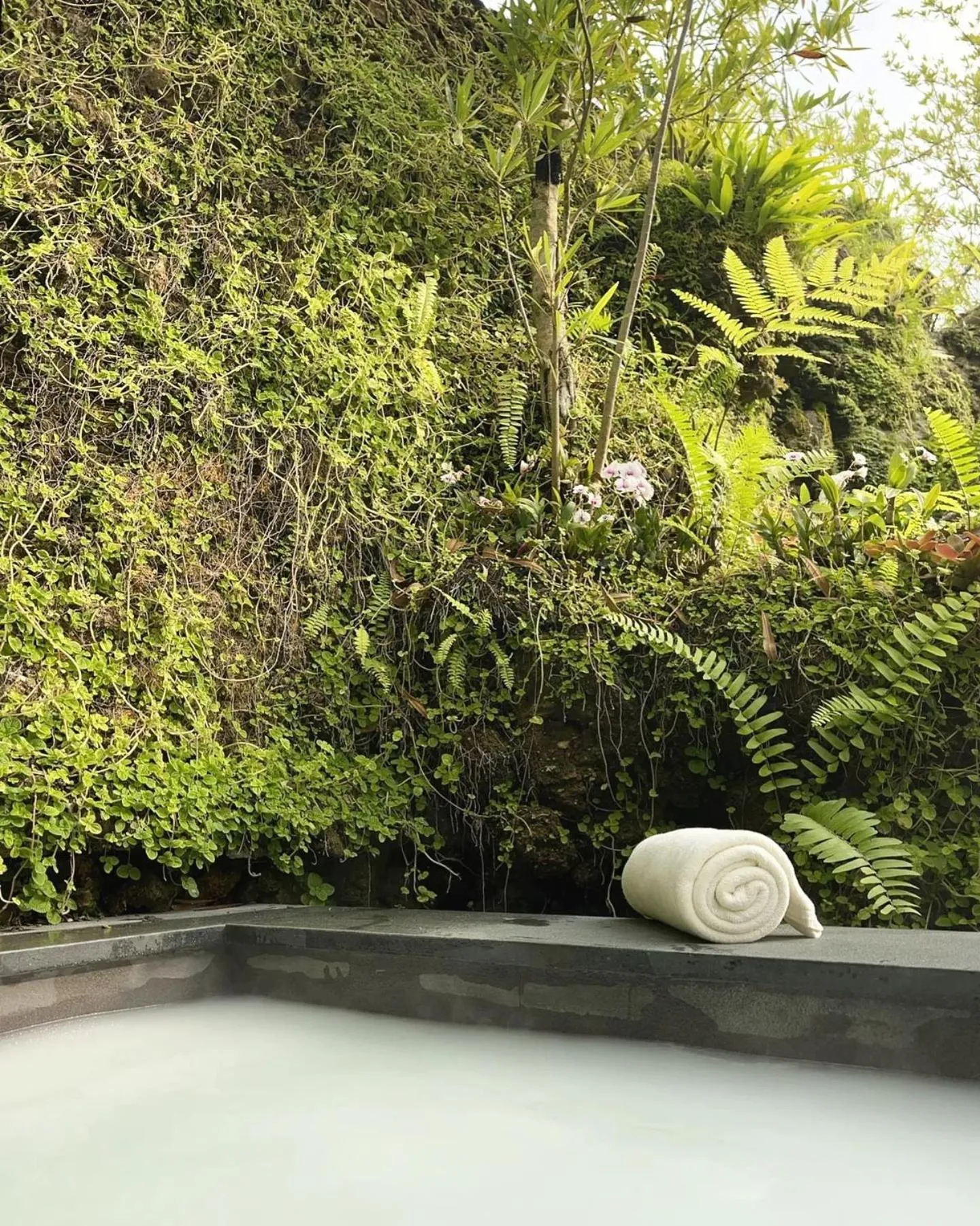 Spring in Rarin Villas