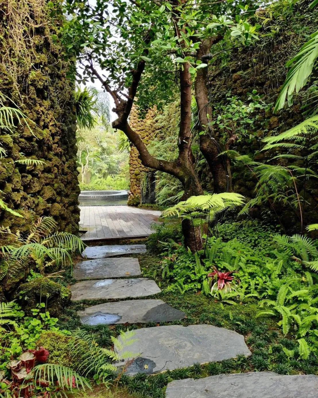 Natural landscape in Rarin Villas