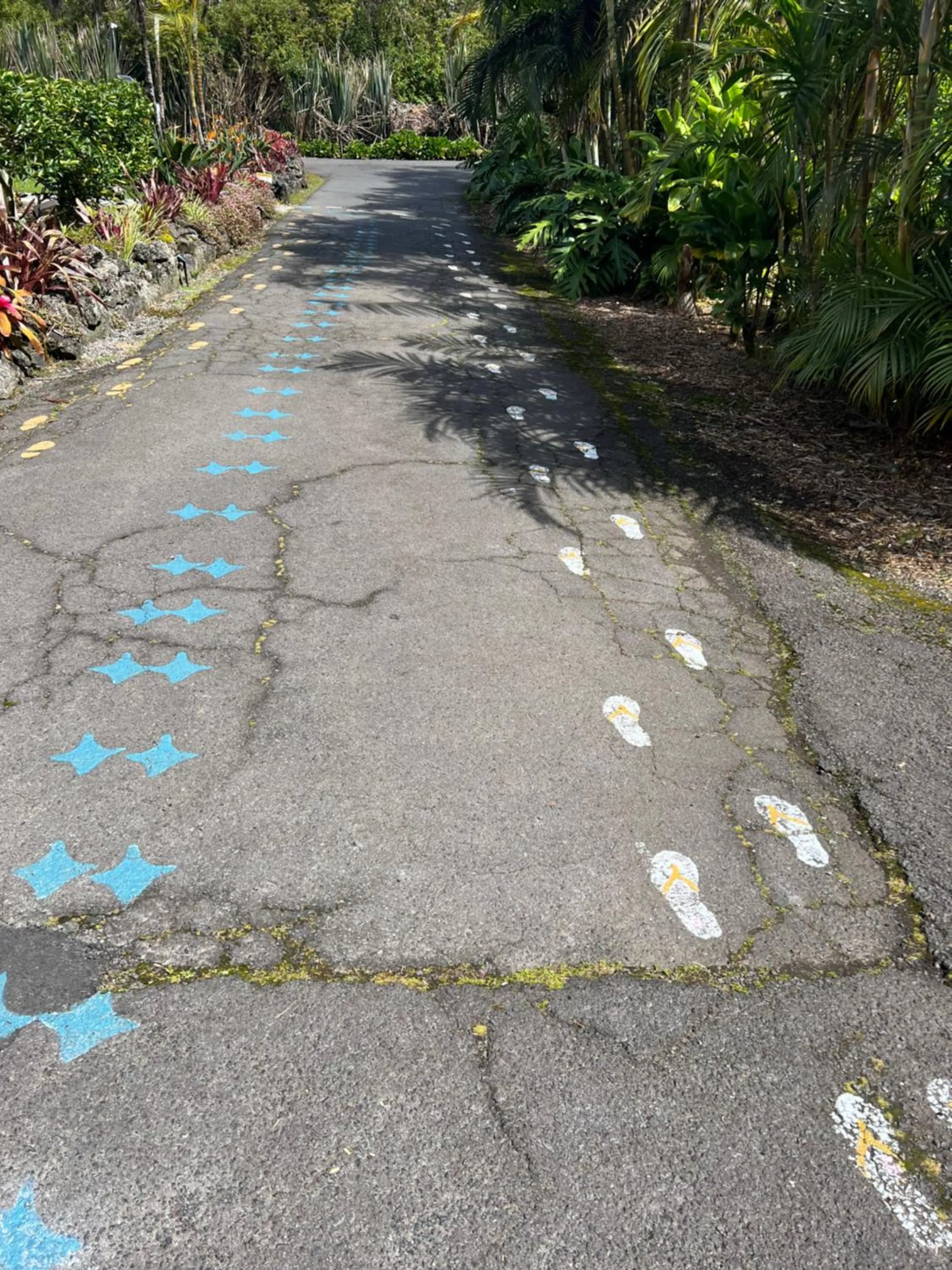 Aloha Junction Bed and Breakfast -Minutes away from Hawaii Volcanoes National Park
