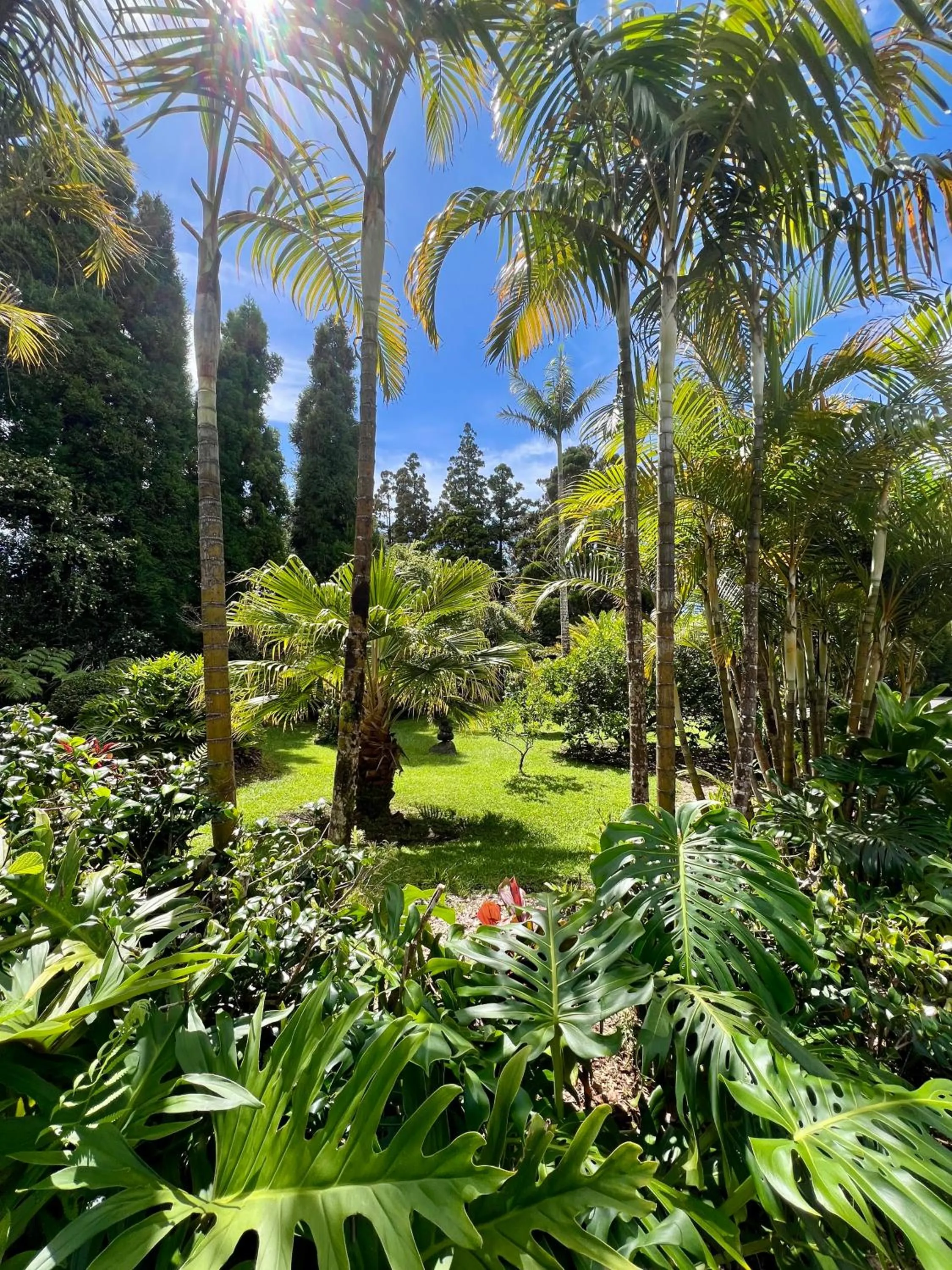 Aloha Junction Bed and Breakfast -Minutes away from Hawaii Volcanoes National Park