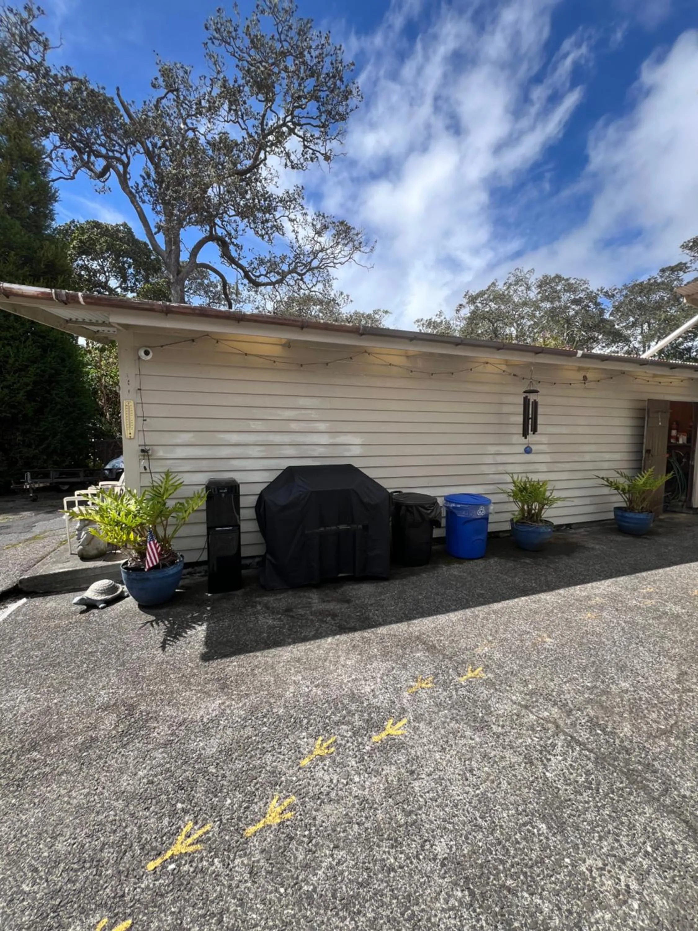 Aloha Junction Bed and Breakfast -Minutes away from Hawaii Volcanoes National Park