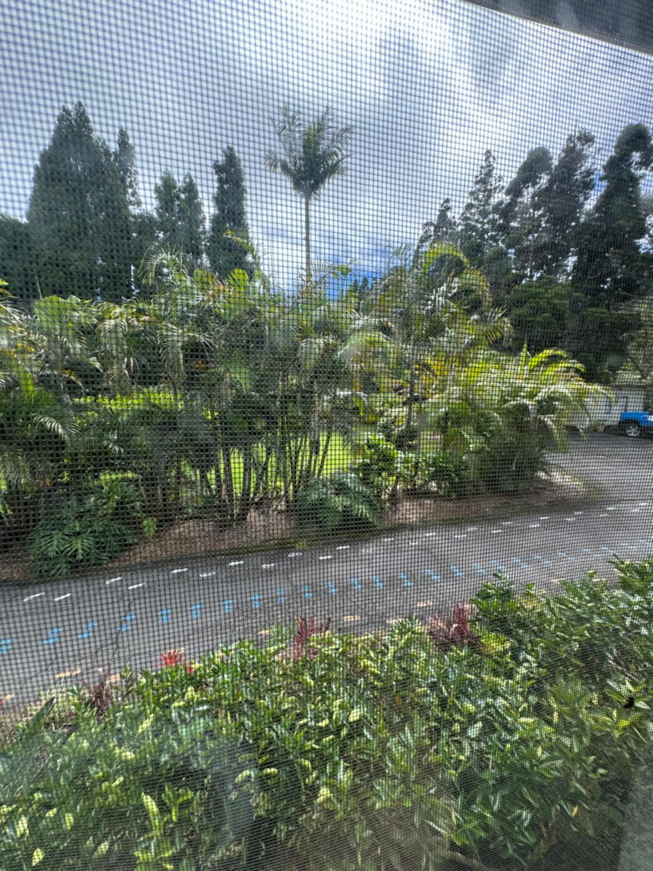 Aloha Junction Bed and Breakfast -Minutes away from Hawaii Volcanoes National Park