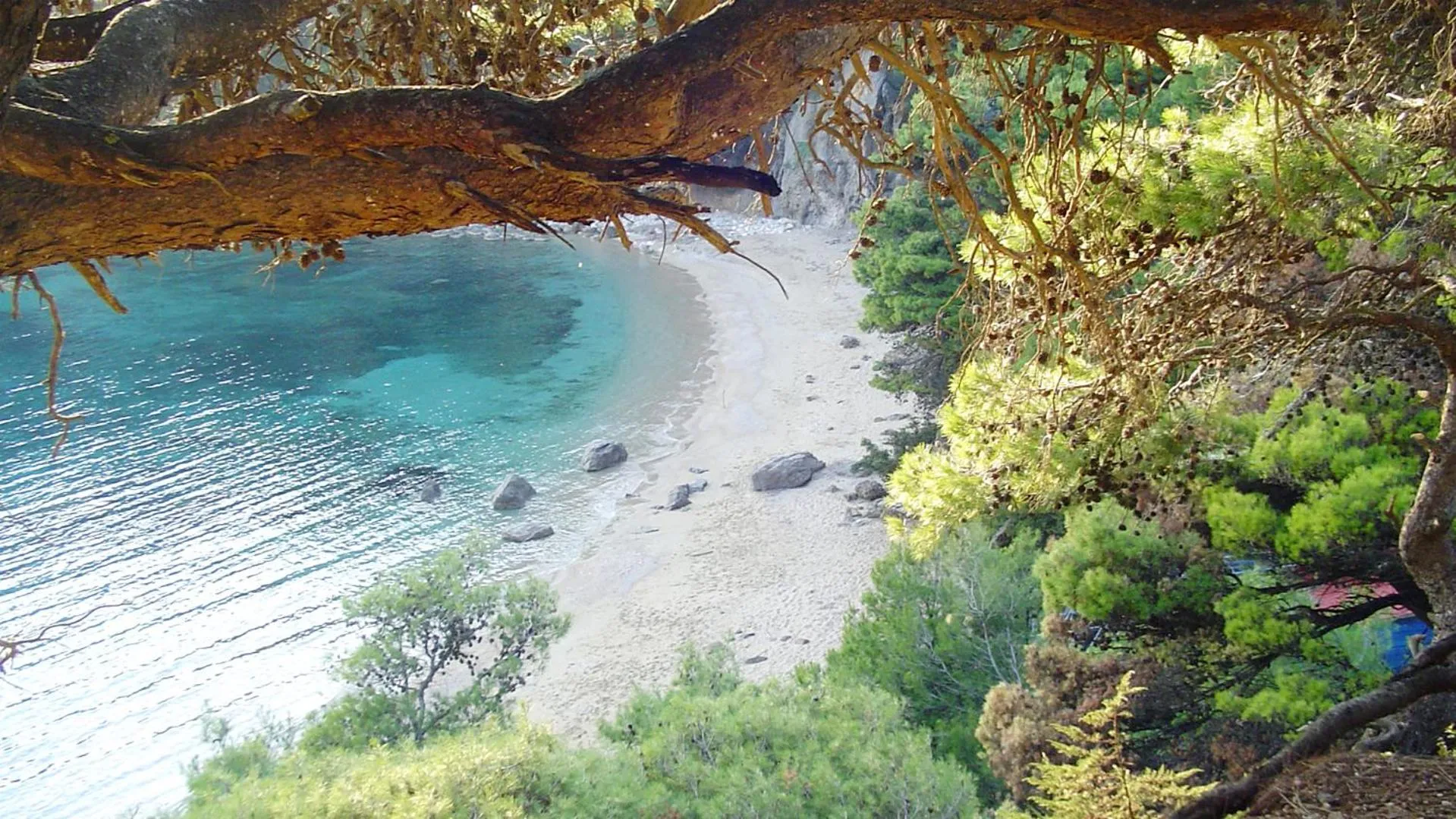 Michelangelo suites and apartments