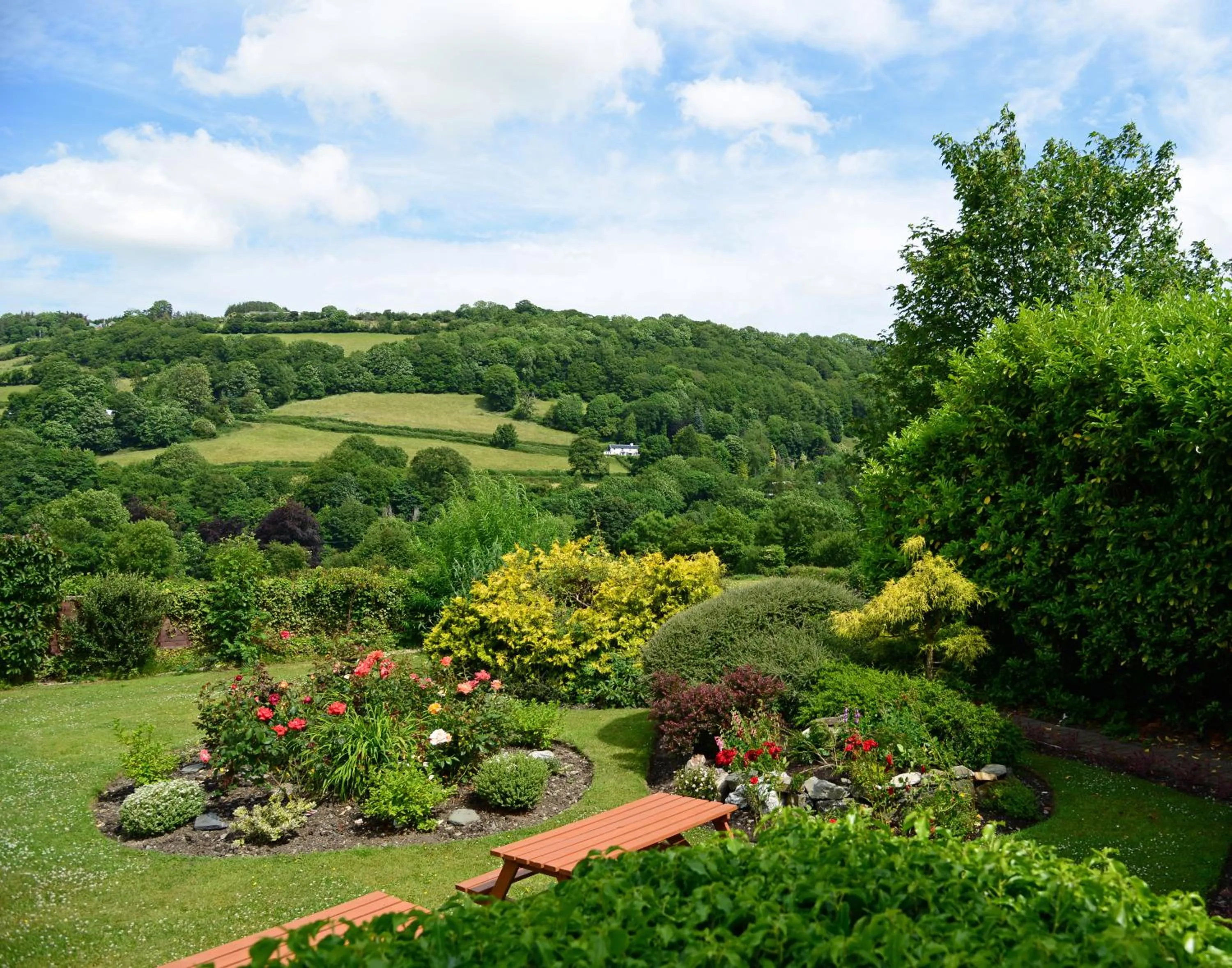 Mountain view in The Mulberry Inn