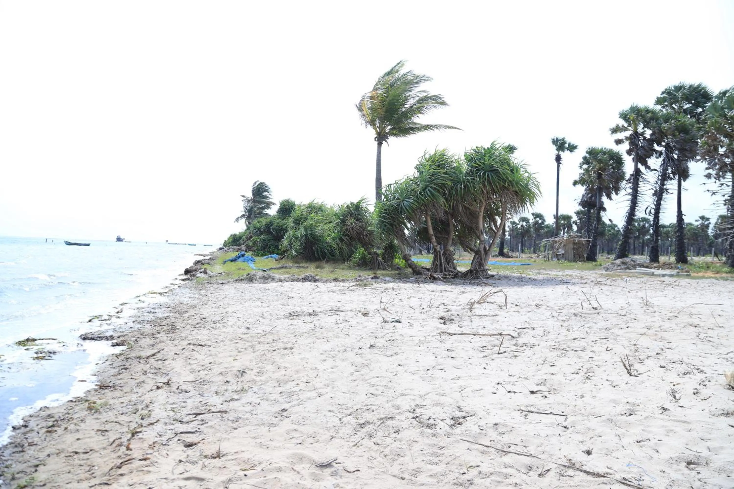 Beach in Palm Beach Resort Ceylon