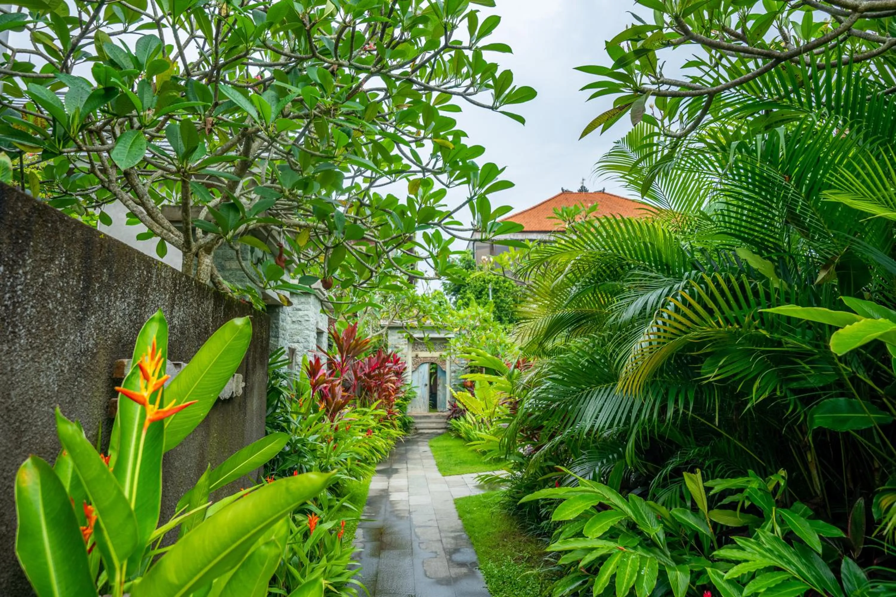 Garden in Ubud Diary Villa