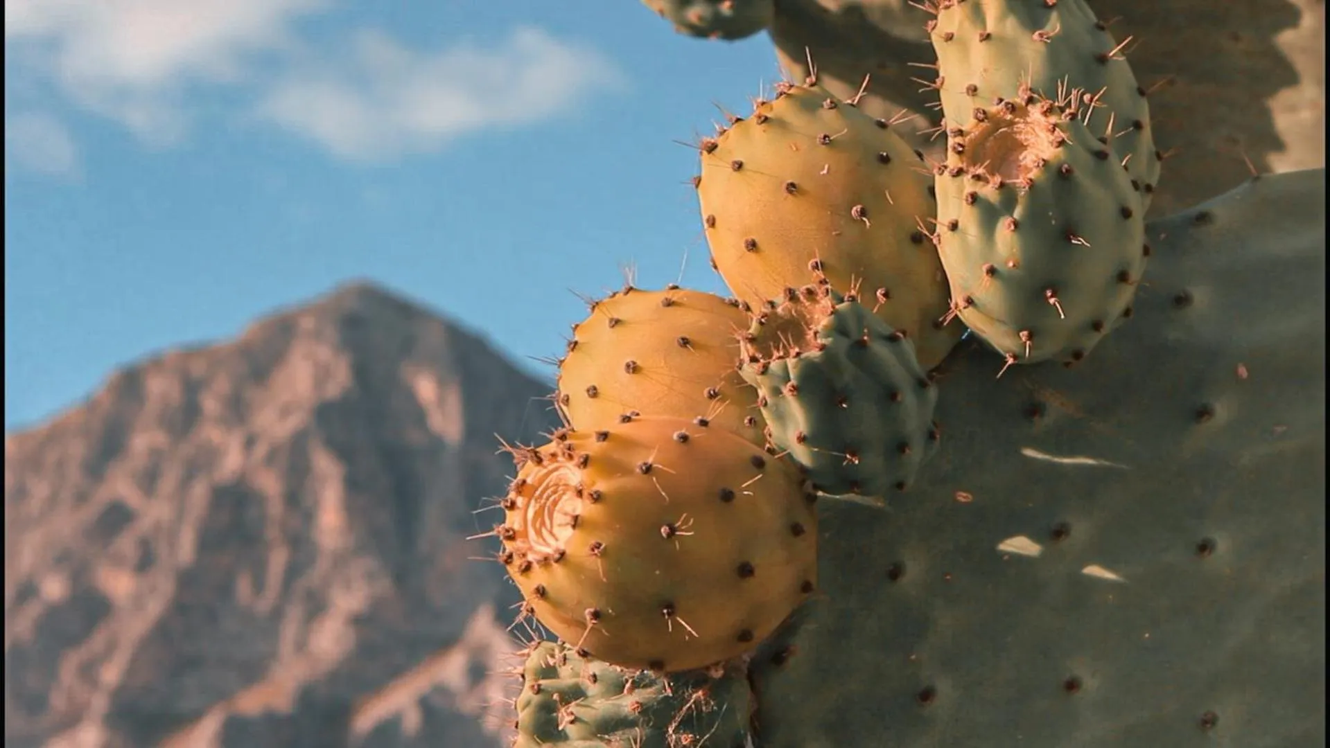 Natural landscape in HOTEL Cala Buguto