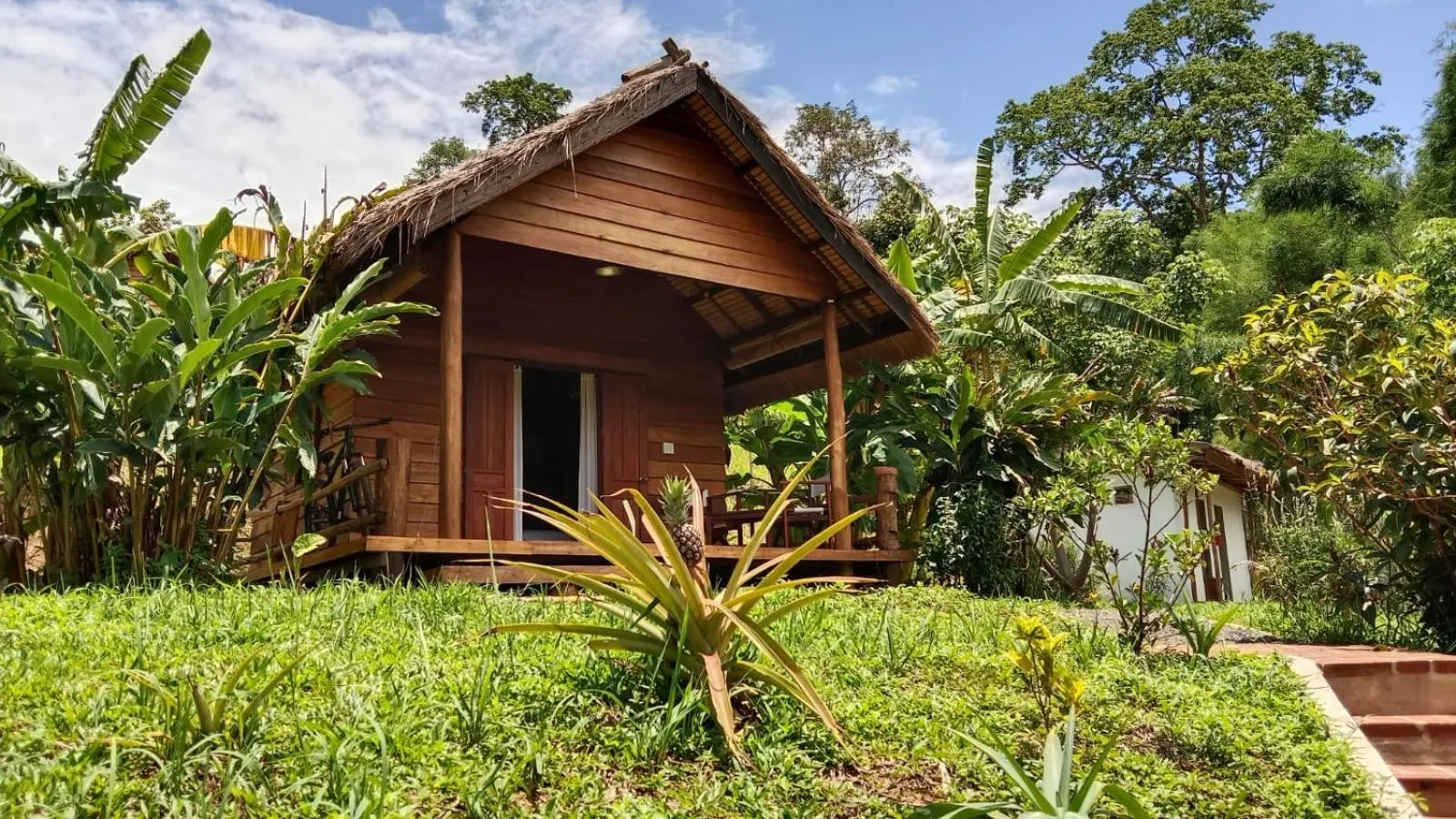 View (from property/room) in Naga Lodge