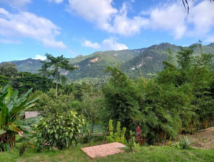 Garden in Naga Lodge