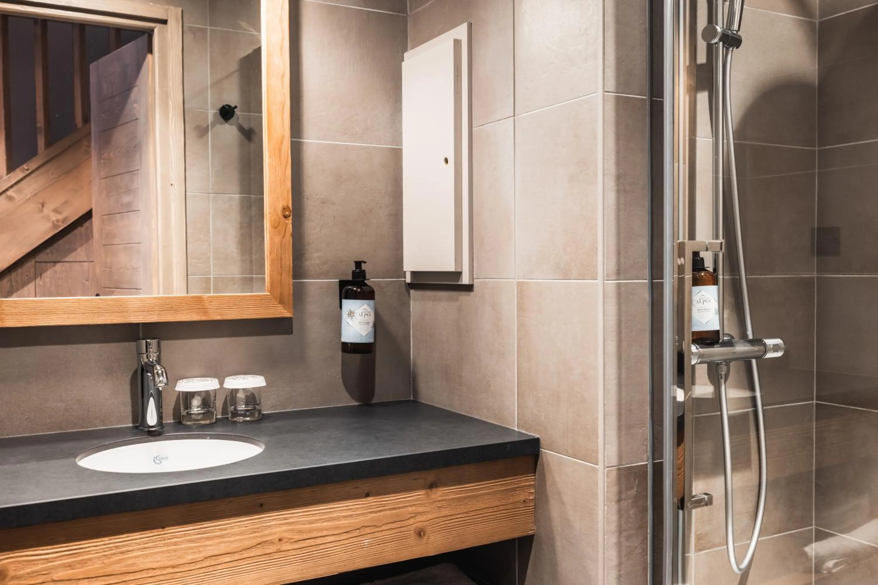 Shower in Hôtel de la Roche