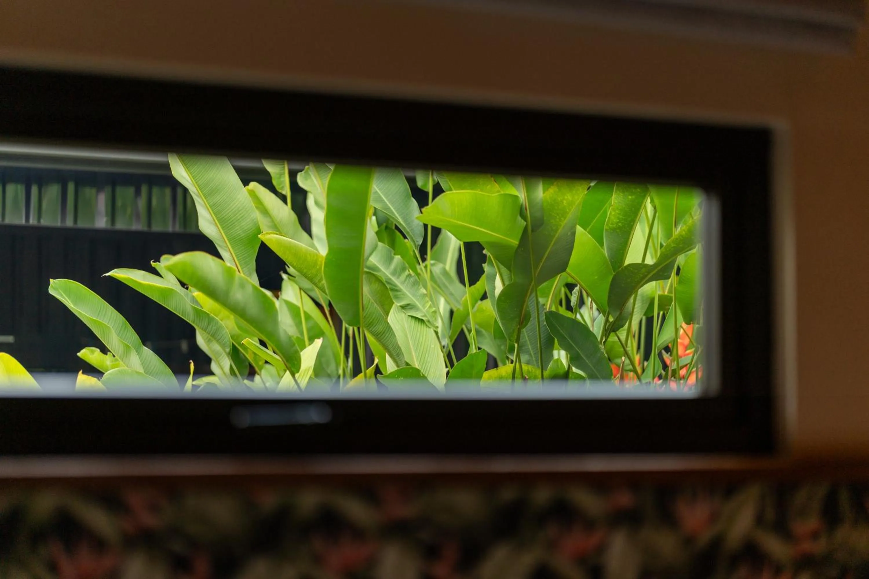 Garden view in Suwa Villa Arenal