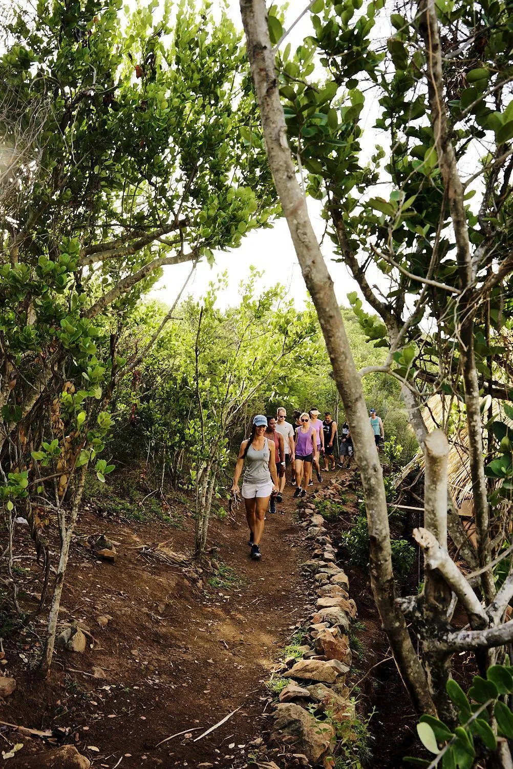 Hiking in The Aerial, BVI