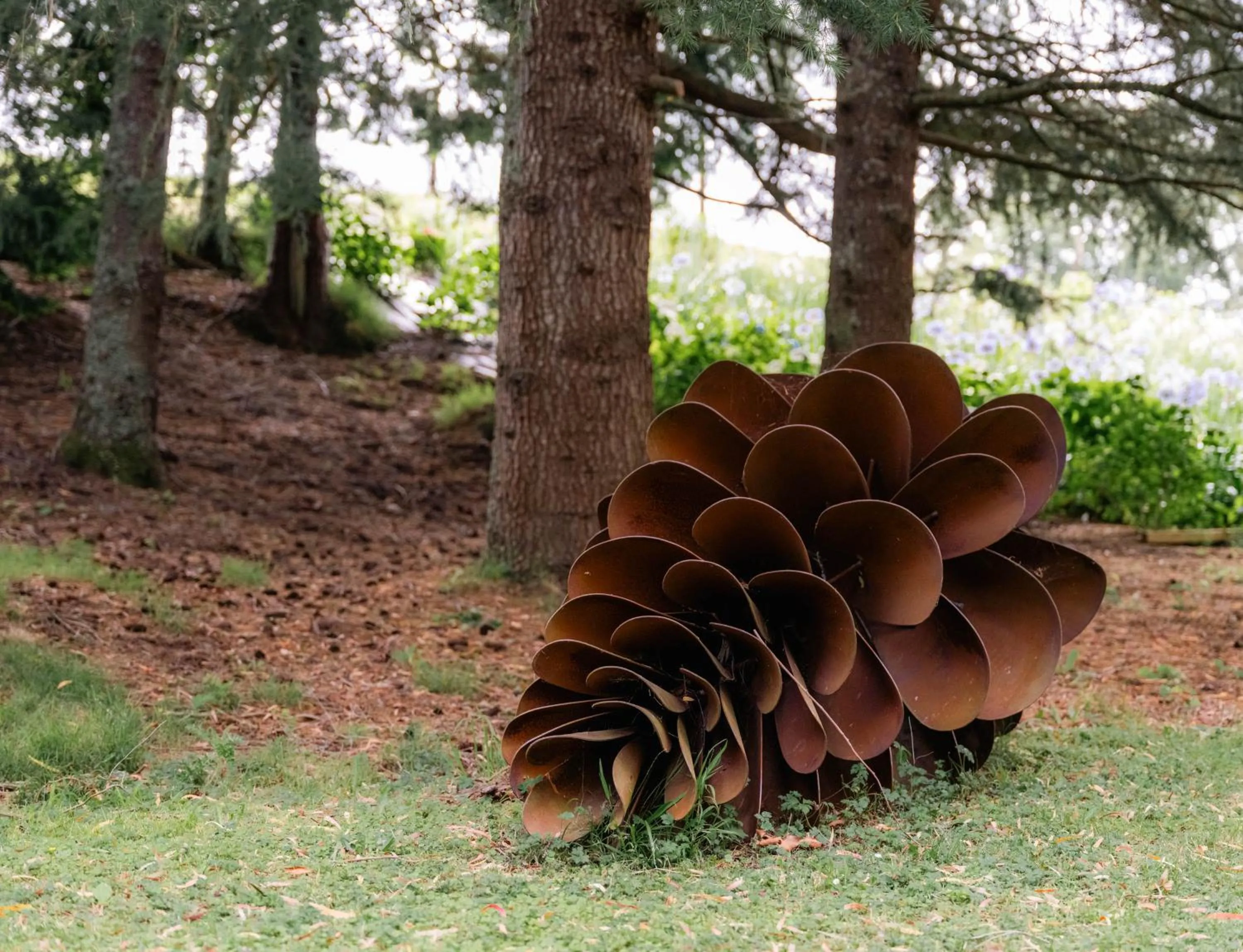 Activities in Hana Lodge