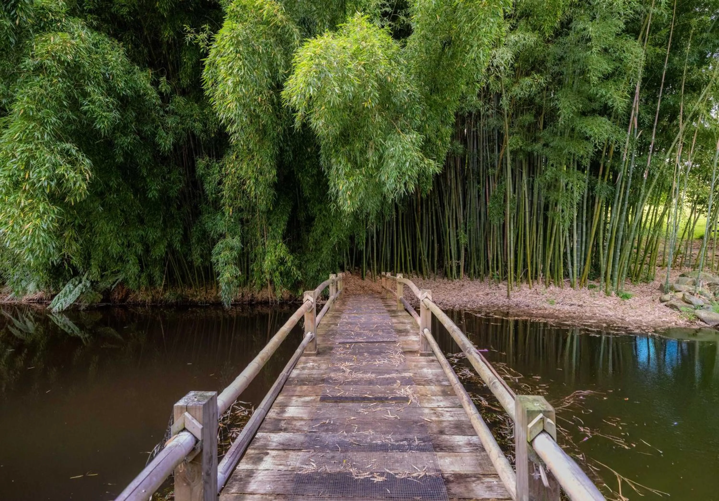 Summer in Hana Lodge