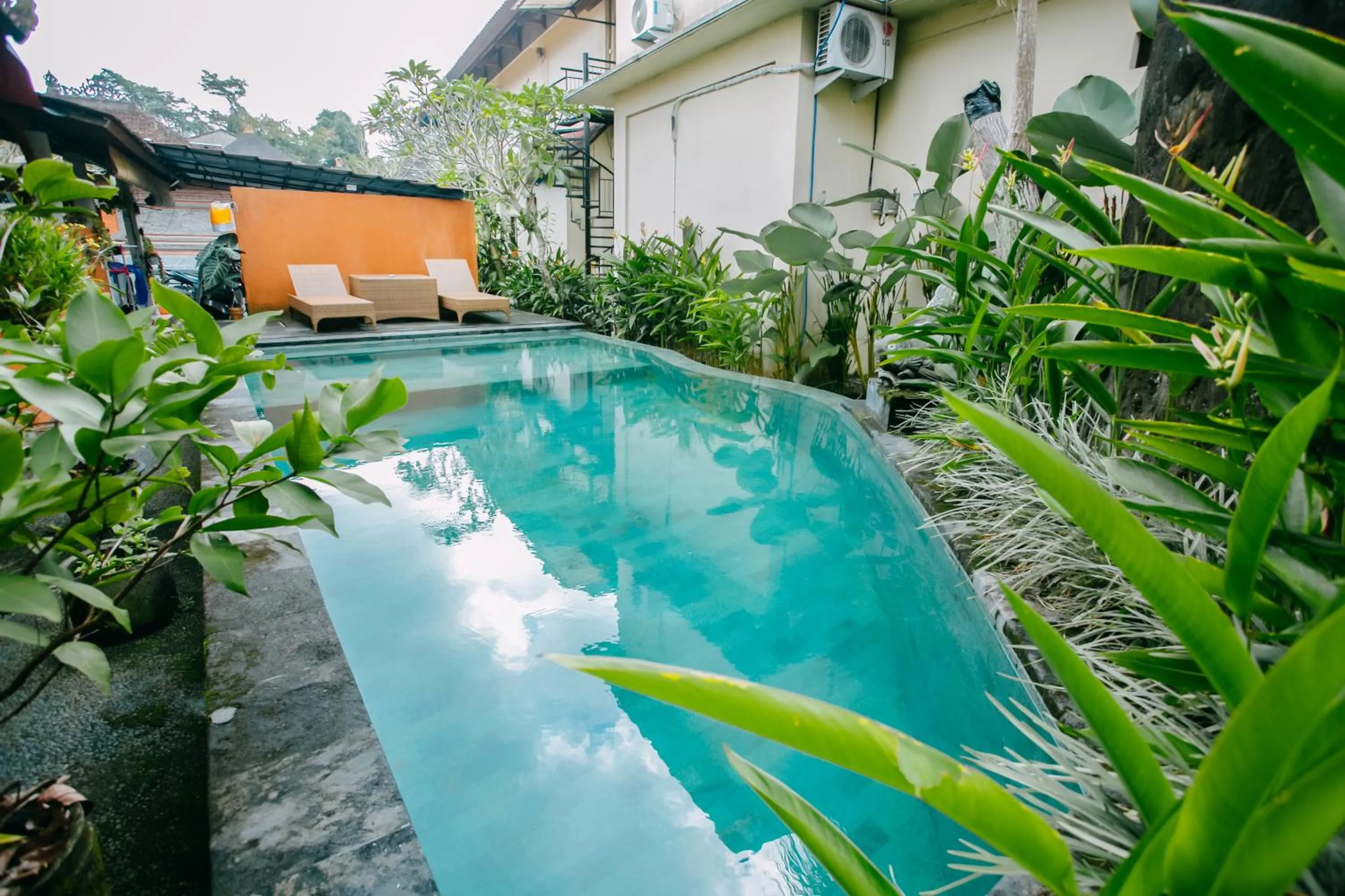 Swimming pool in Nobody Inn Bali at Arya guest house