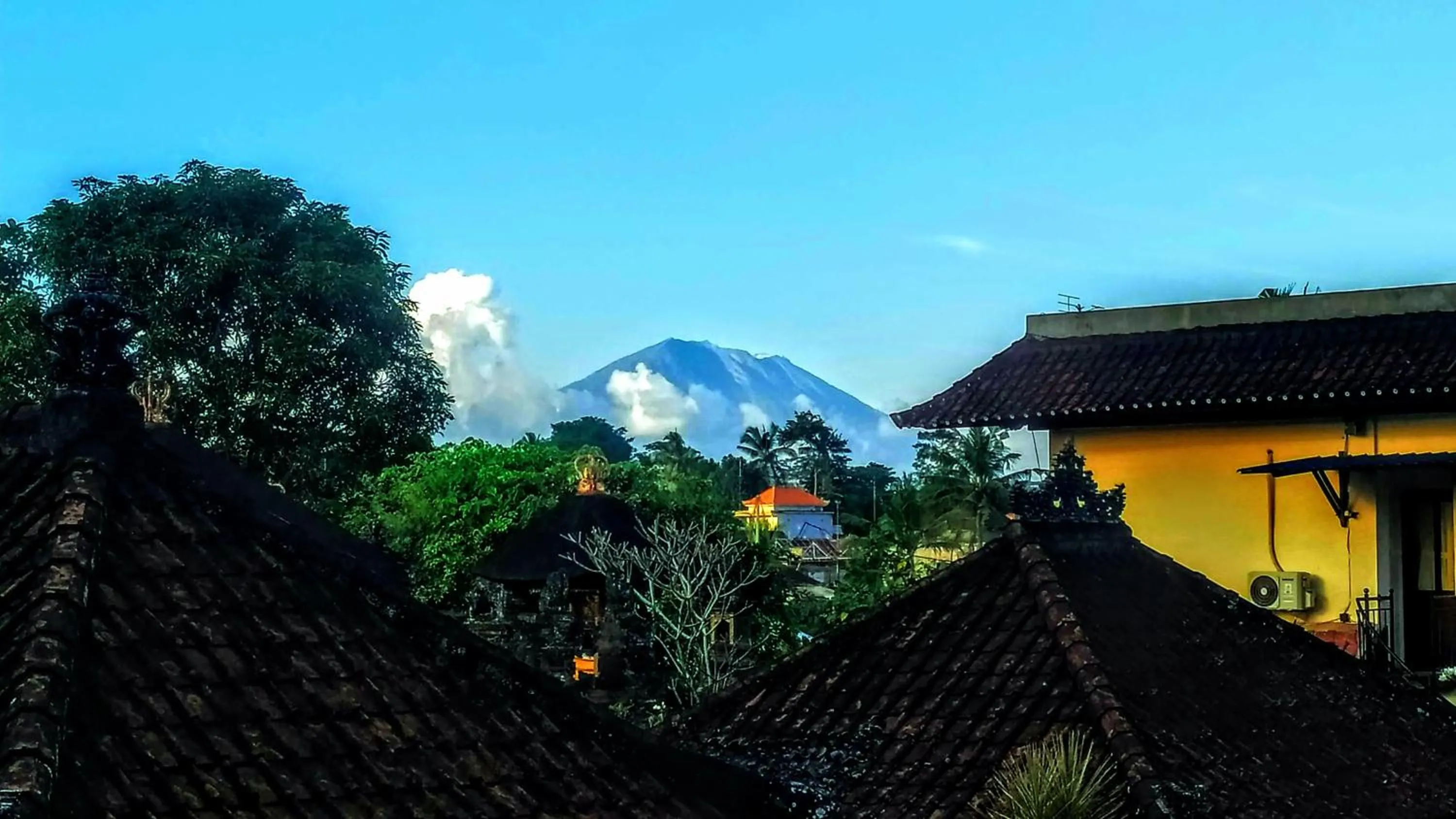 Natural landscape in Nobody Inn Bali at Arya guest house