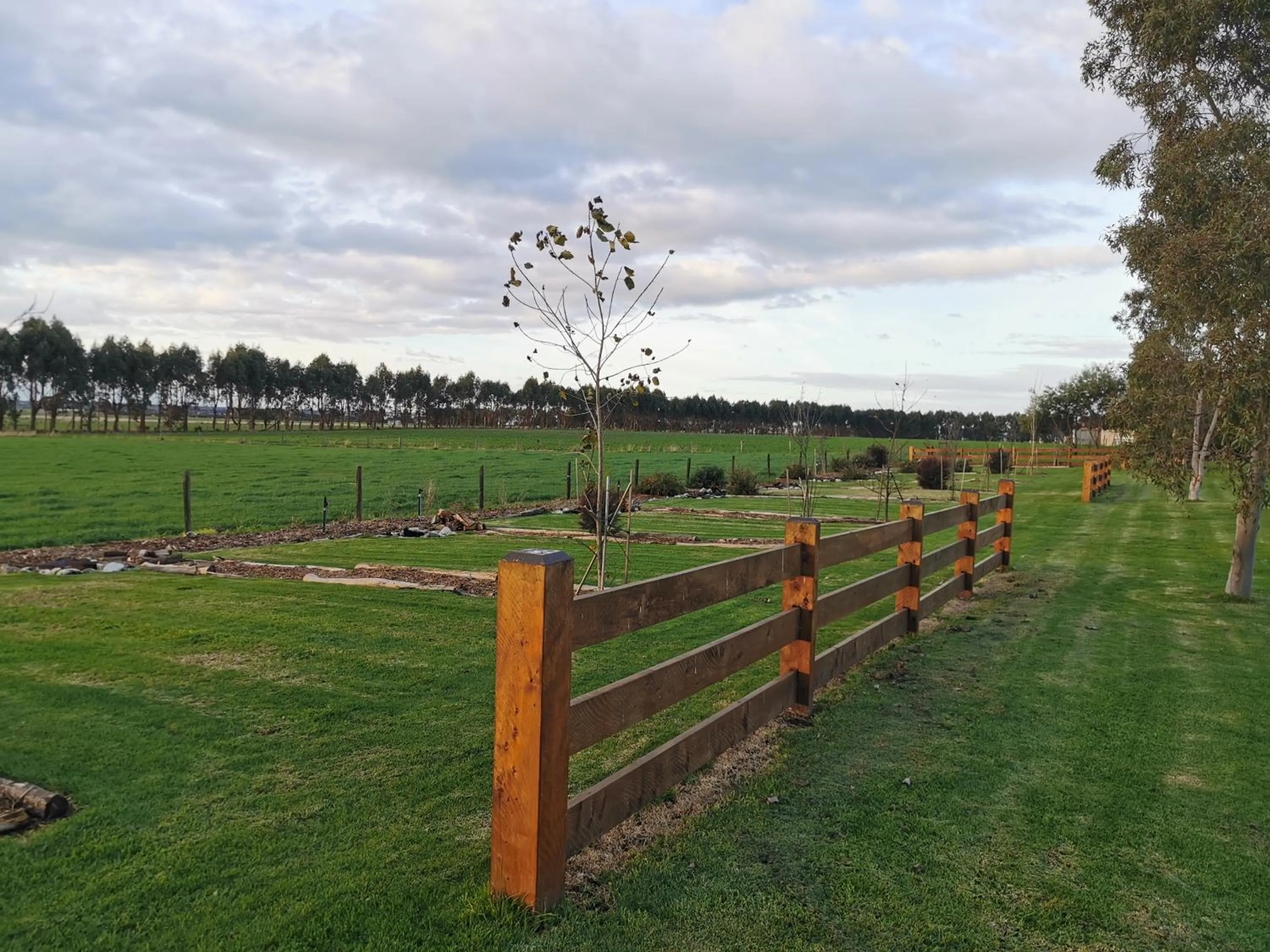 Garden view in Colac Otway Caravan & Cabin Park
