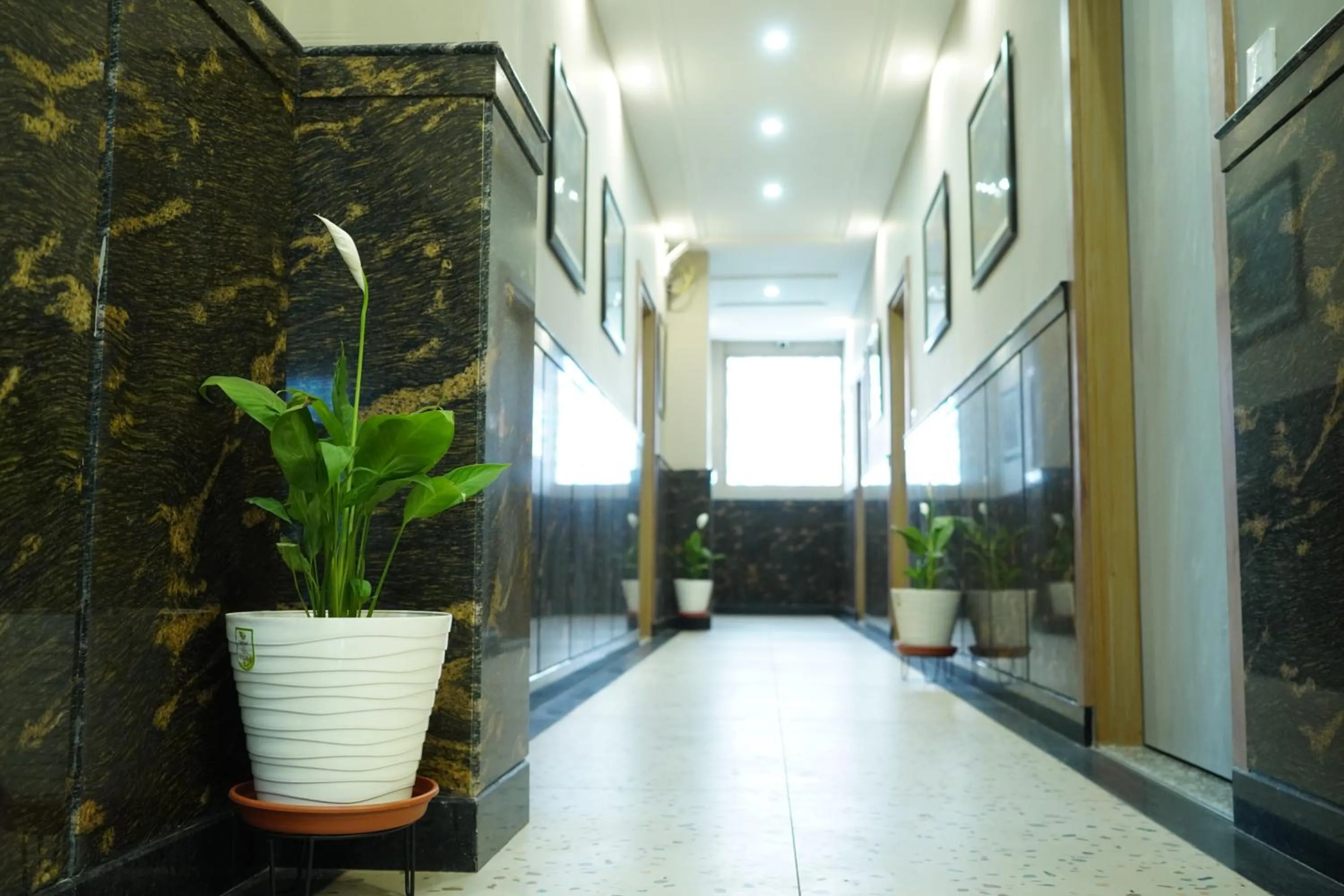 Lobby or reception in Dreamy Desert Hotel