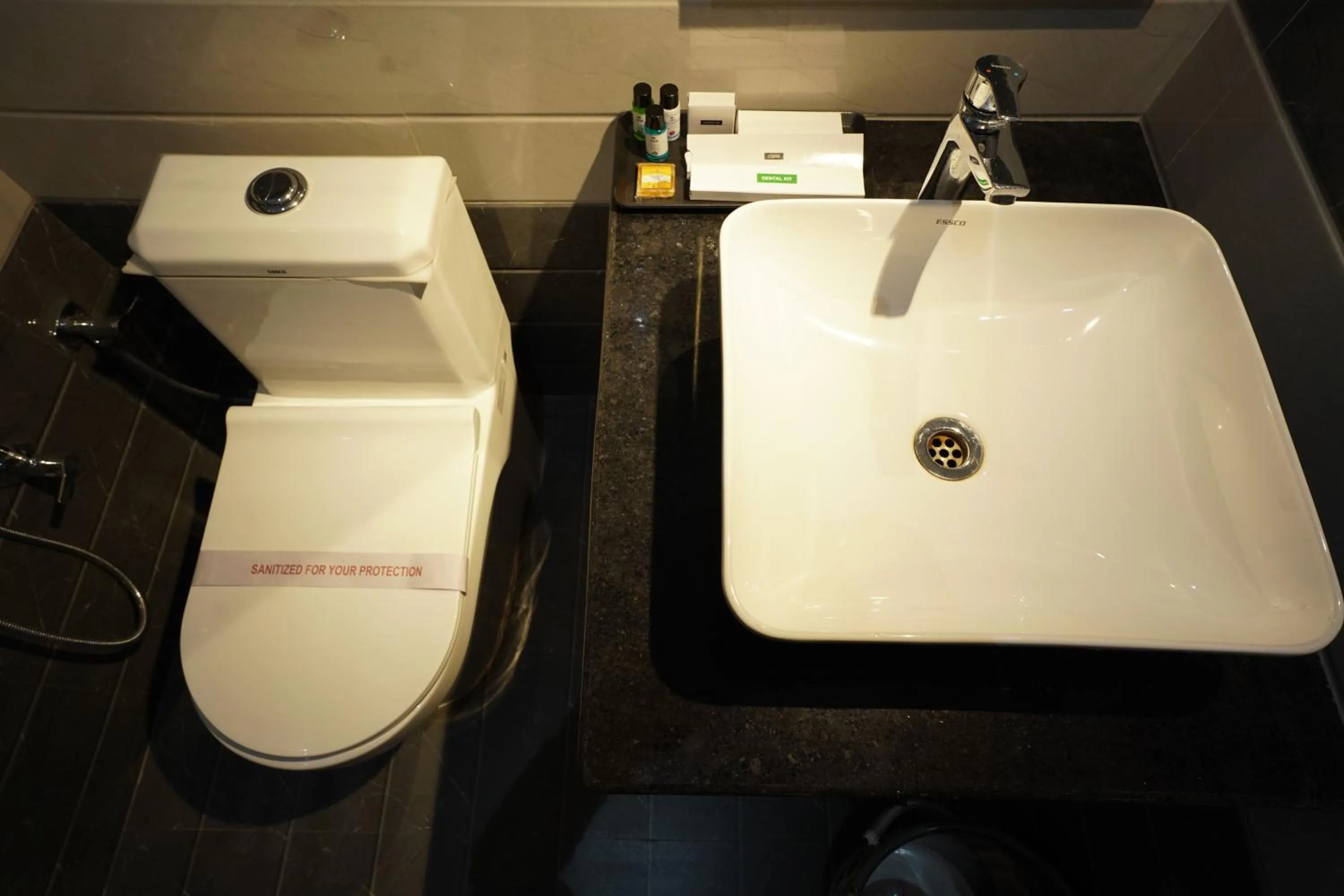 Toilet in Dreamy Desert Hotel