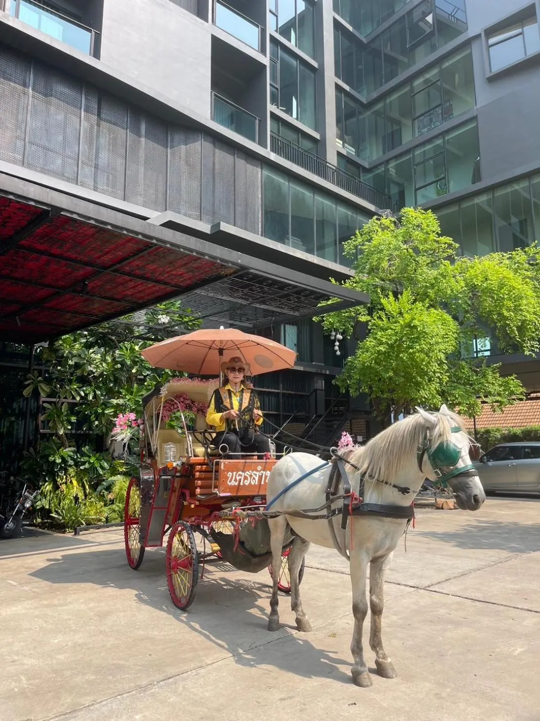 Horse-riding in Sibtis Hotel