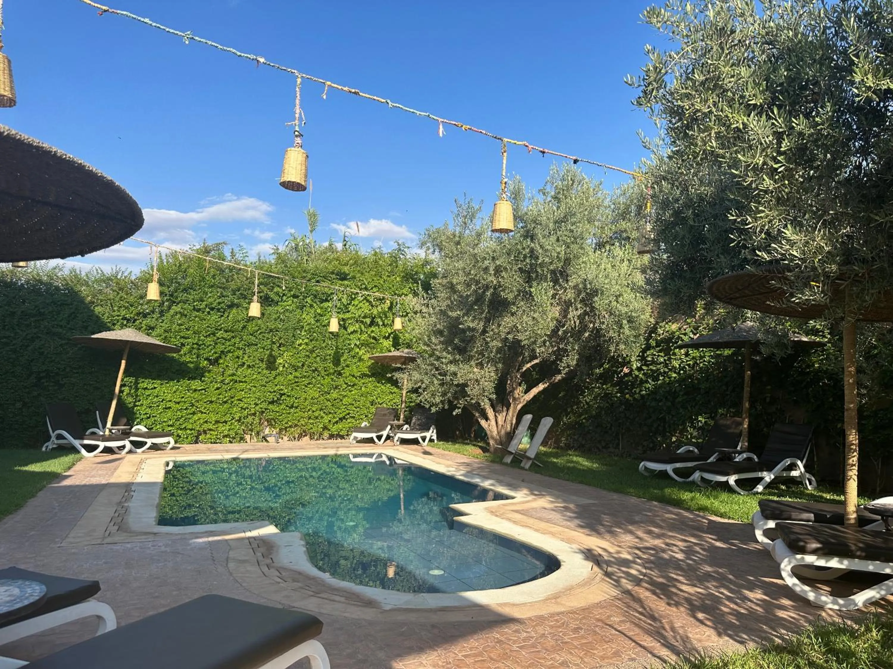 Spring in Oasis Merasi Marrakech