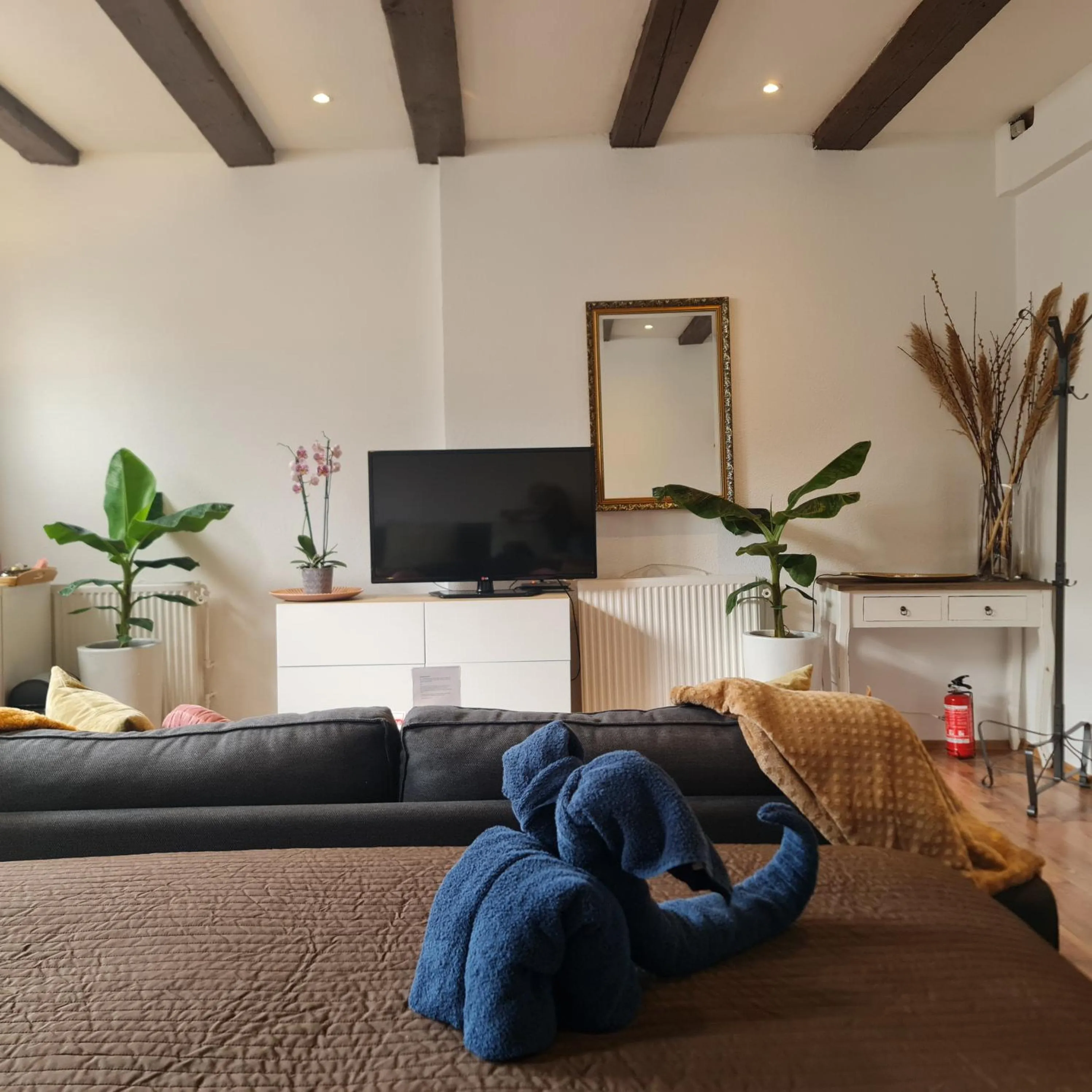 Crown Guesthouse Amsterdam