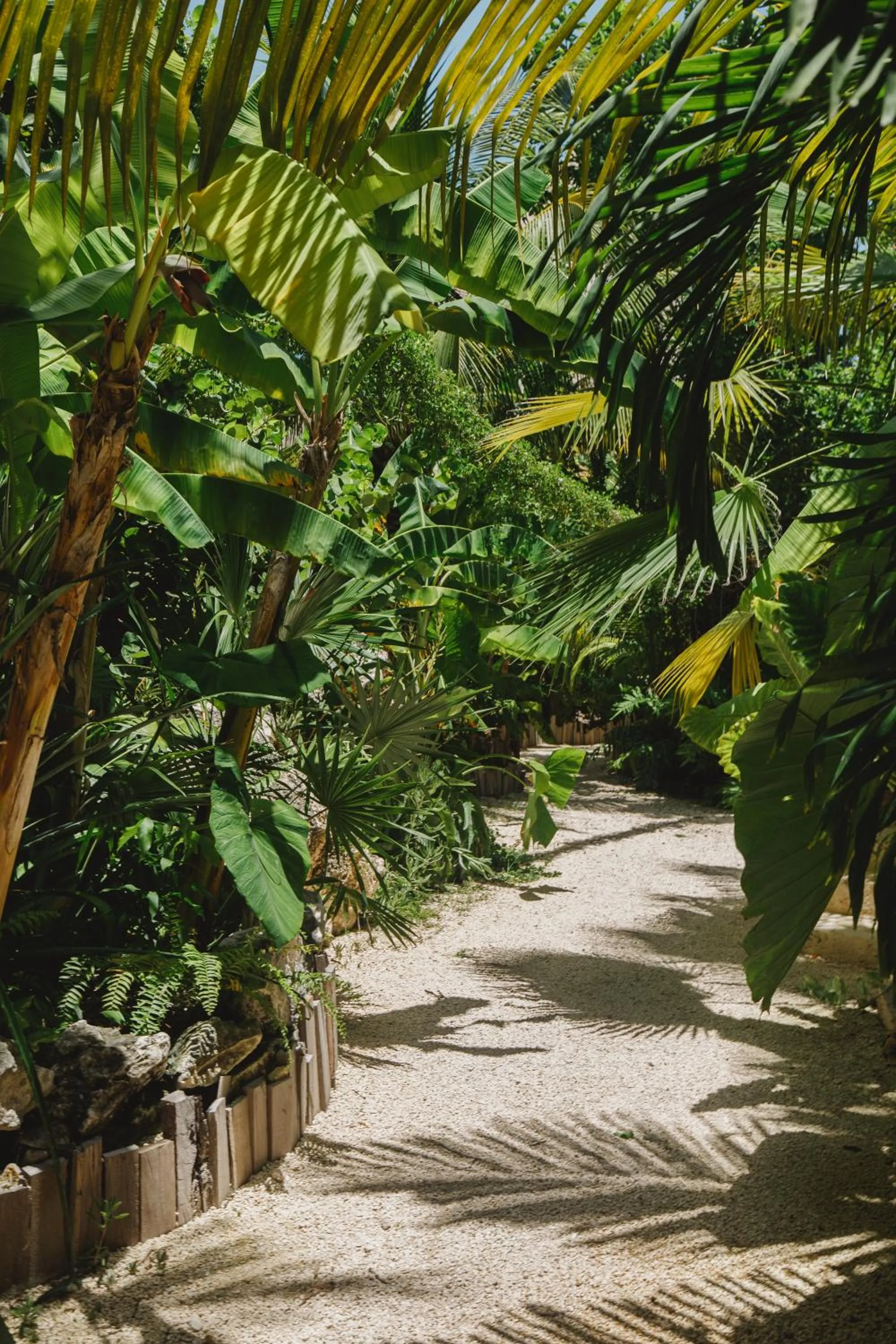 Natural landscape in Enigmatic Beach Hotel